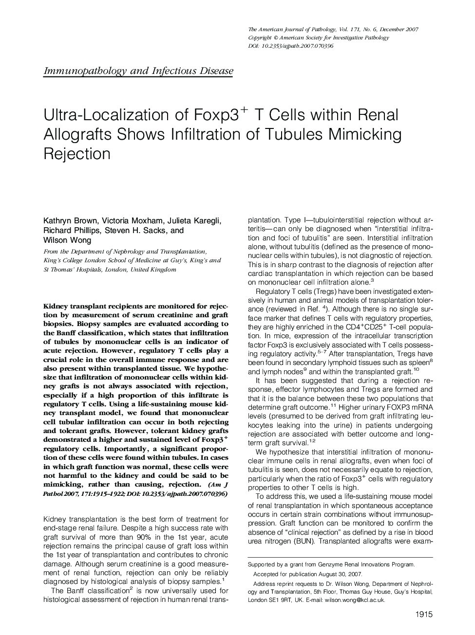 Ultra-Localization of Foxp3+ T Cells within Renal Allografts Shows Infiltration of Tubules Mimicking Rejection 