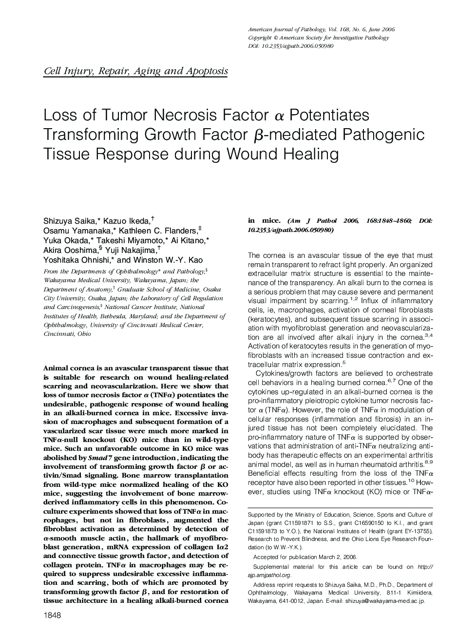 Loss of Tumor Necrosis Factor α Potentiates Transforming Growth Factor β-mediated Pathogenic Tissue Response during Wound Healing 