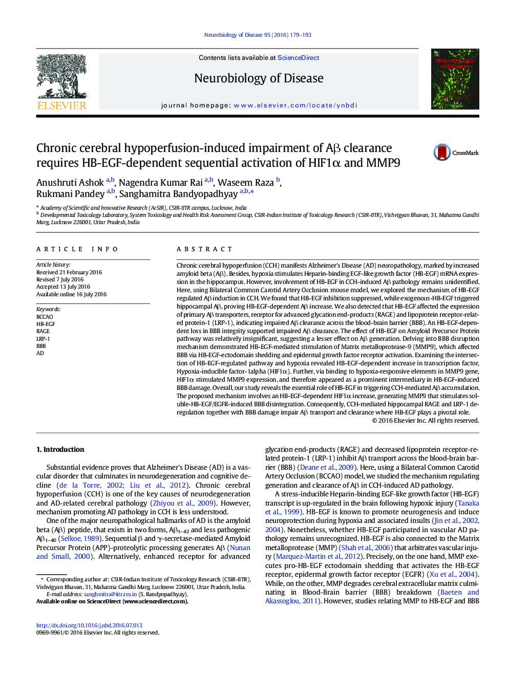 Chronic cerebral hypoperfusion-induced impairment of Aβ clearance requires HB-EGF-dependent sequential activation of HIF1α and MMP9