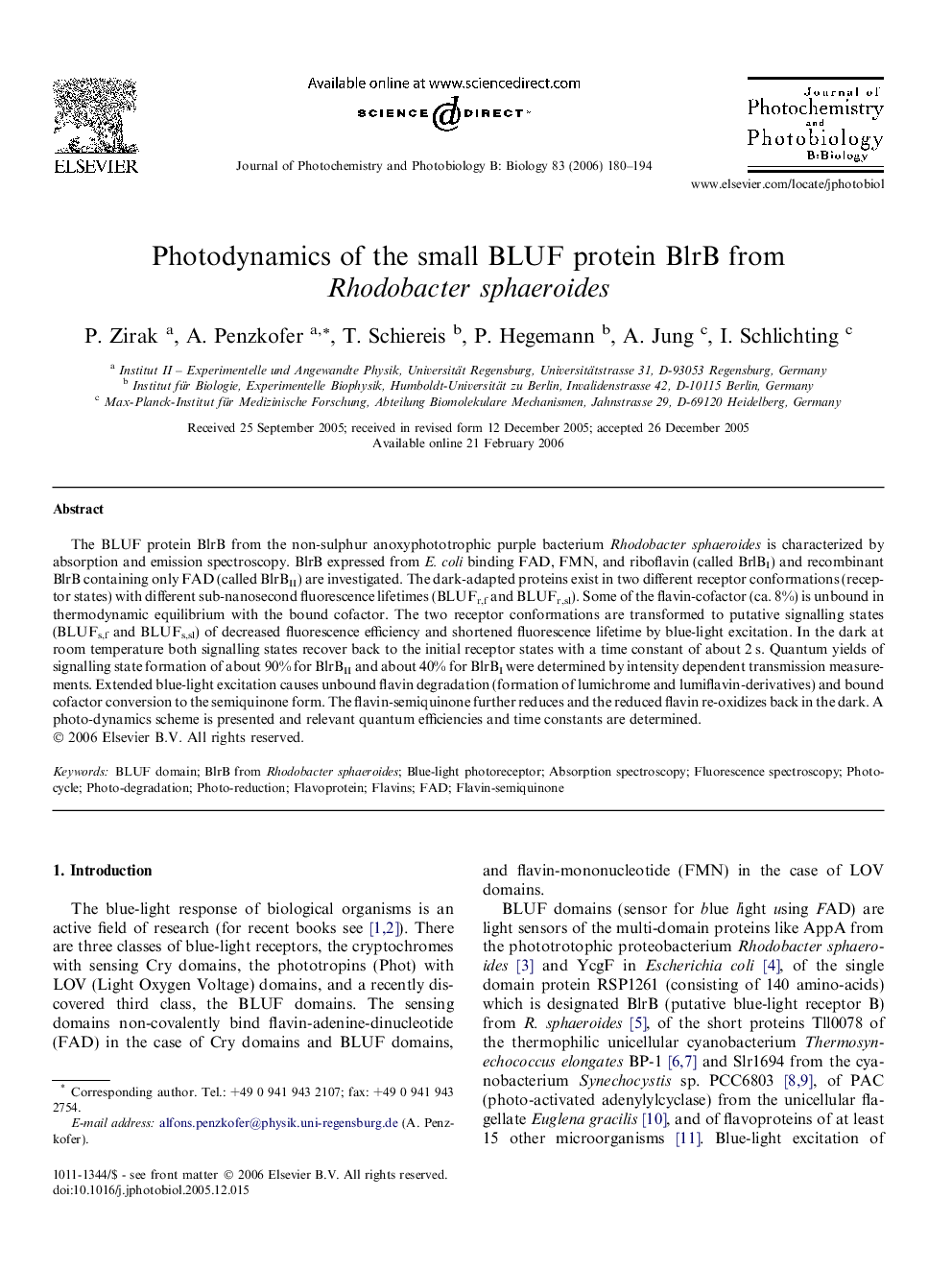 Photodynamics of the small BLUF protein BlrB from Rhodobacter sphaeroides