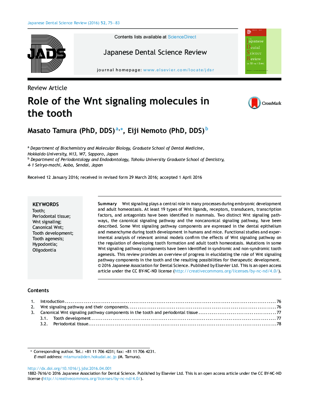 Role of the Wnt signaling molecules in the tooth