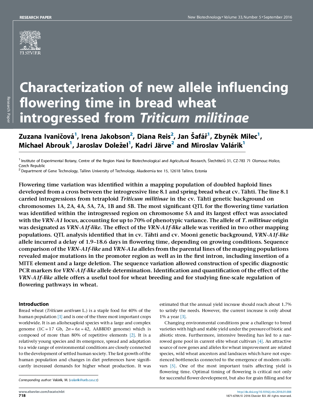 Characterization of new allele influencing flowering time in bread wheat introgressed from Triticum militinae