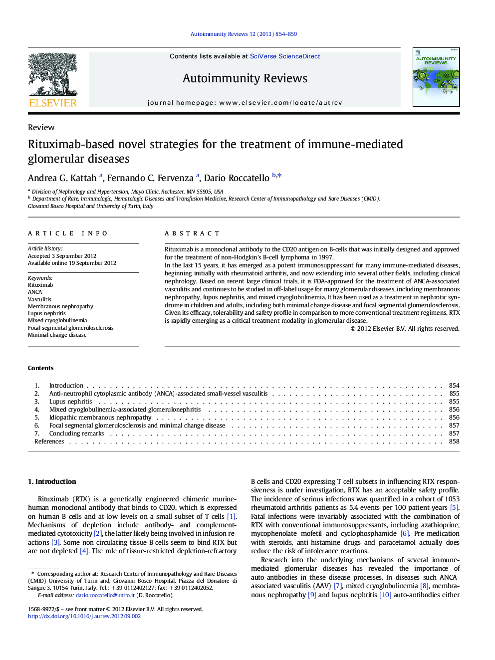 Rituximab-based novel strategies for the treatment of immune-mediated glomerular diseases