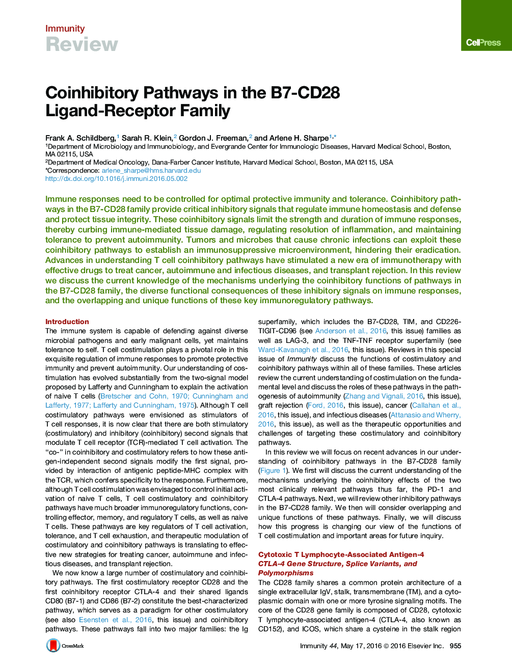 Coinhibitory Pathways in the B7-CD28 Ligand-Receptor Family