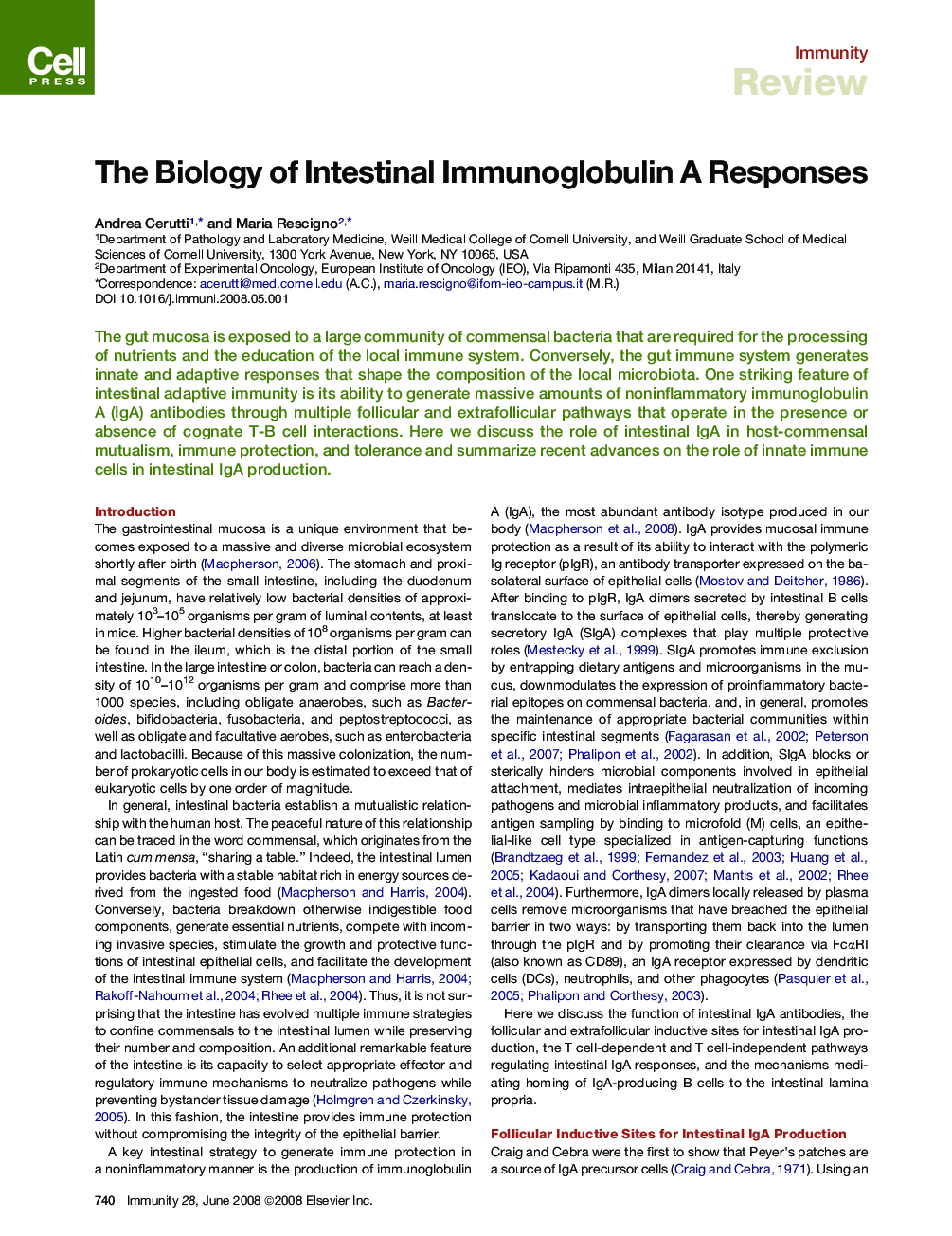 The Biology of Intestinal Immunoglobulin A Responses