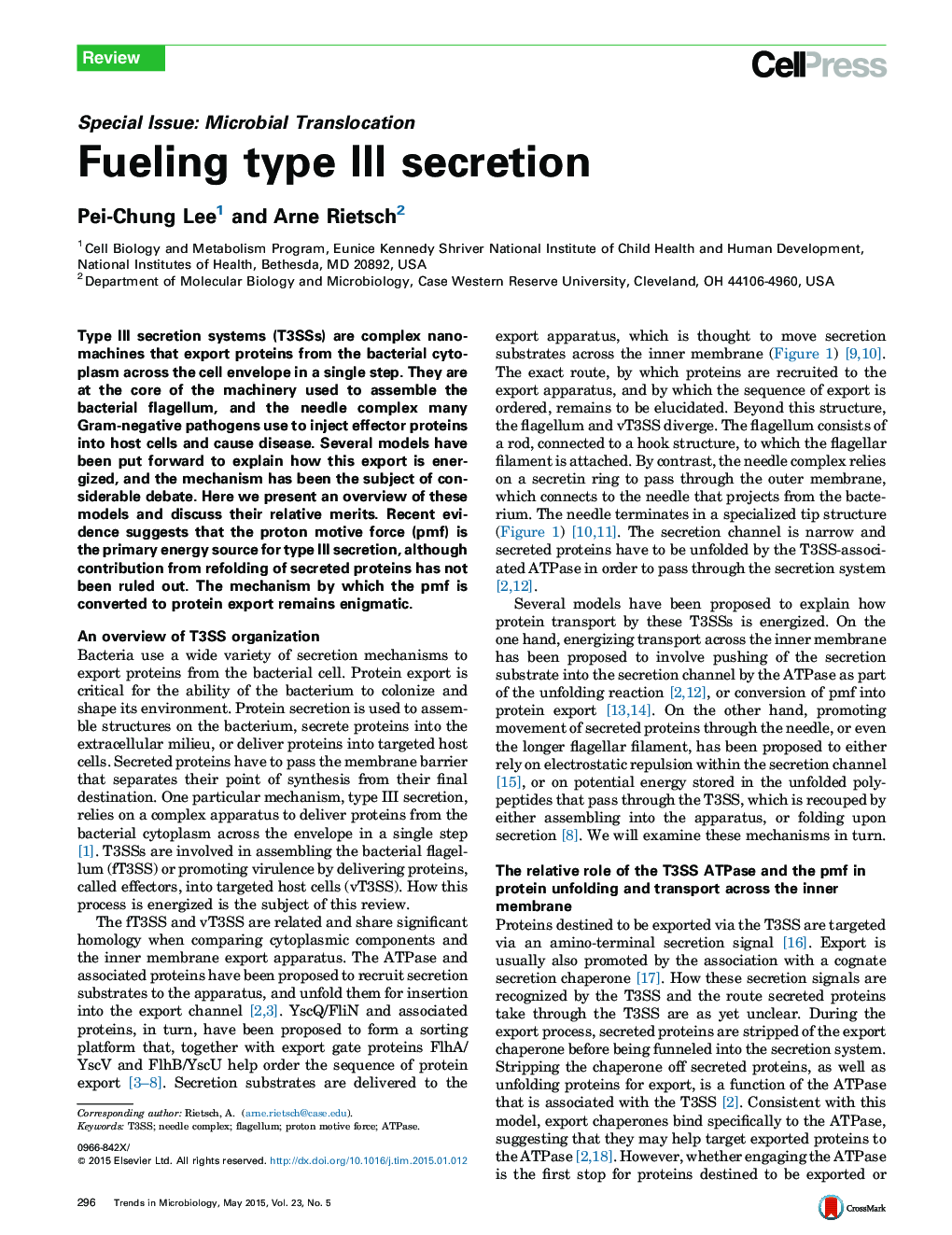 Fueling type III secretion