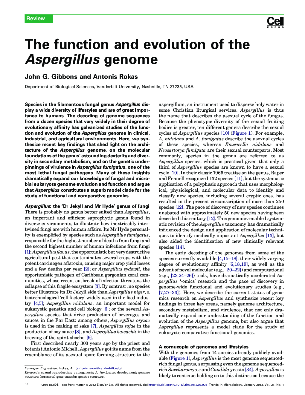 The function and evolution of the Aspergillus genome