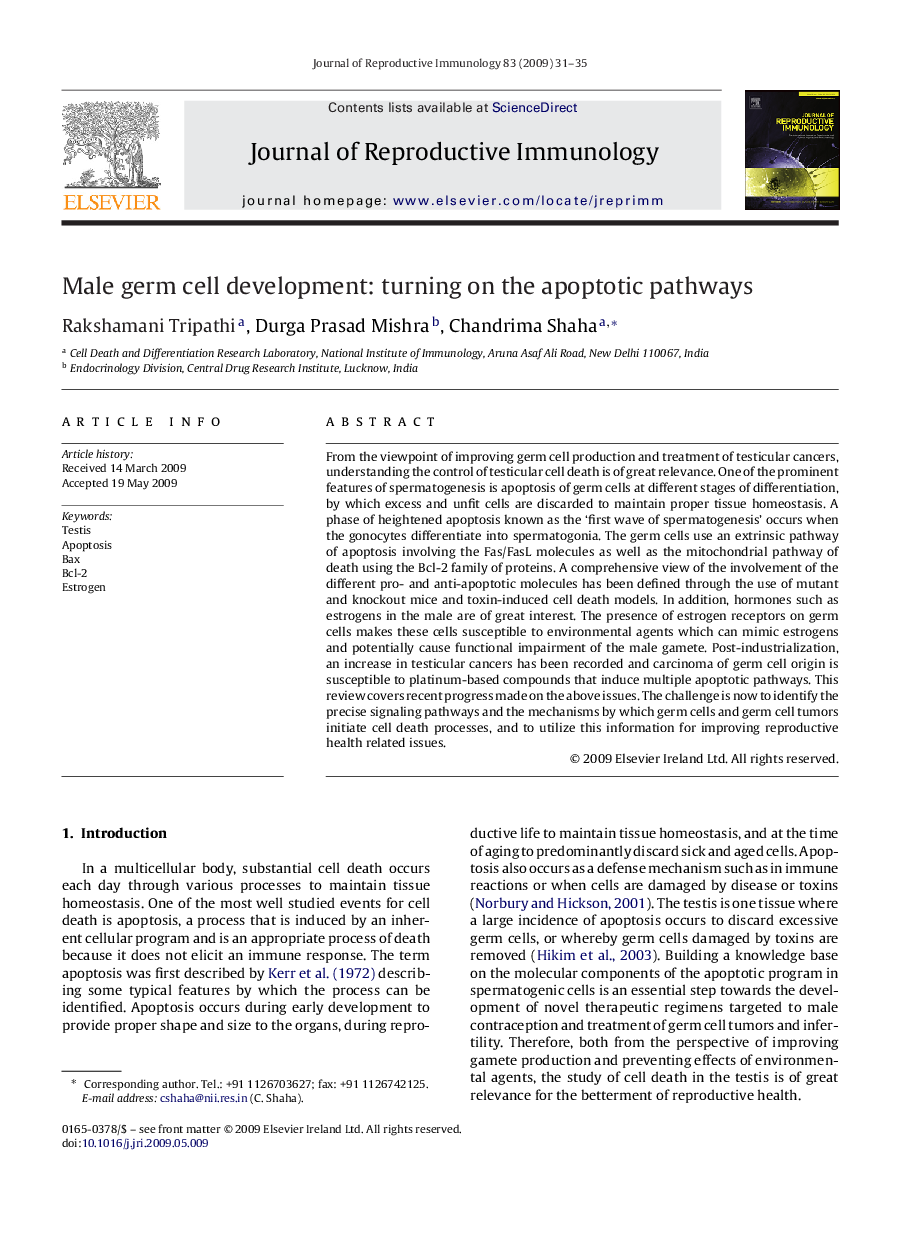 Male germ cell development: turning on the apoptotic pathways