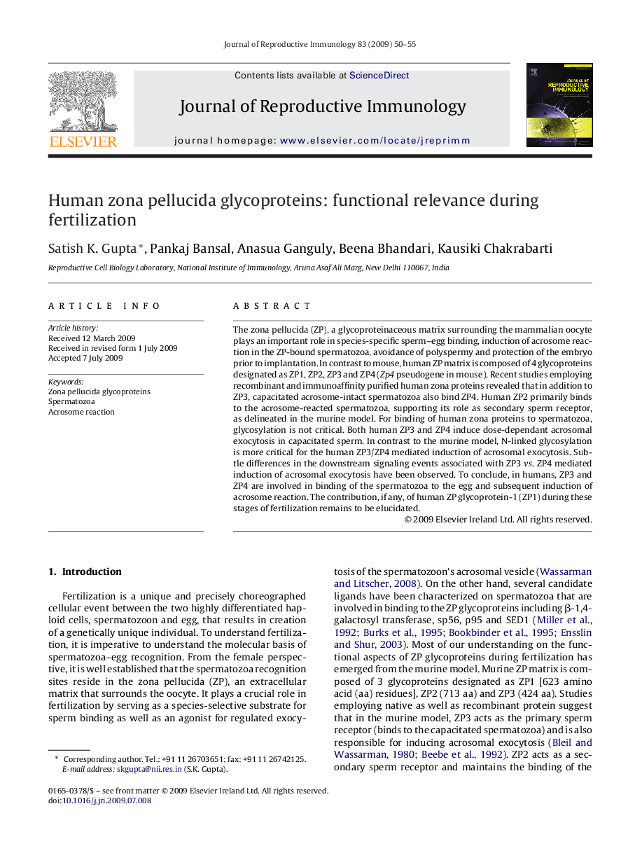 Human zona pellucida glycoproteins: functional relevance during fertilization