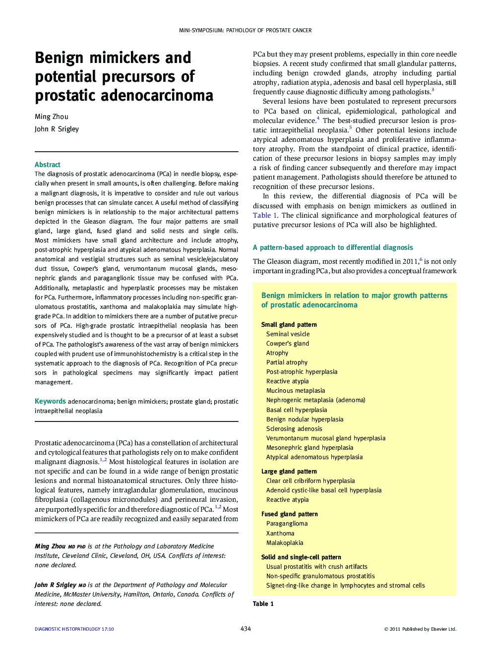 Benign mimickers and potential precursors of prostatic adenocarcinoma