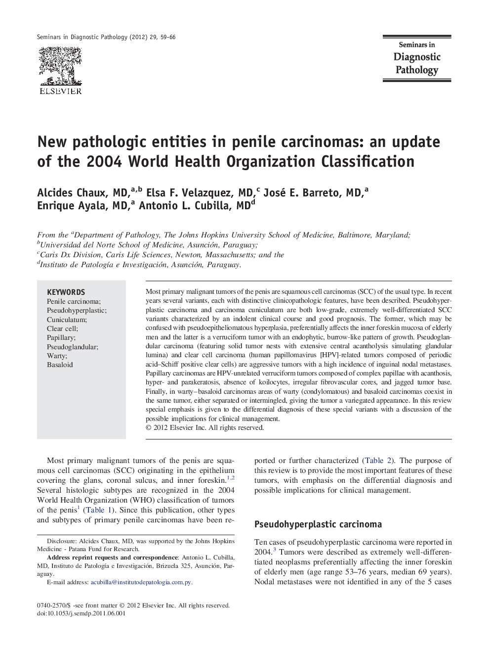 New pathologic entities in penile carcinomas: an update of the 2004 World Health Organization Classification 