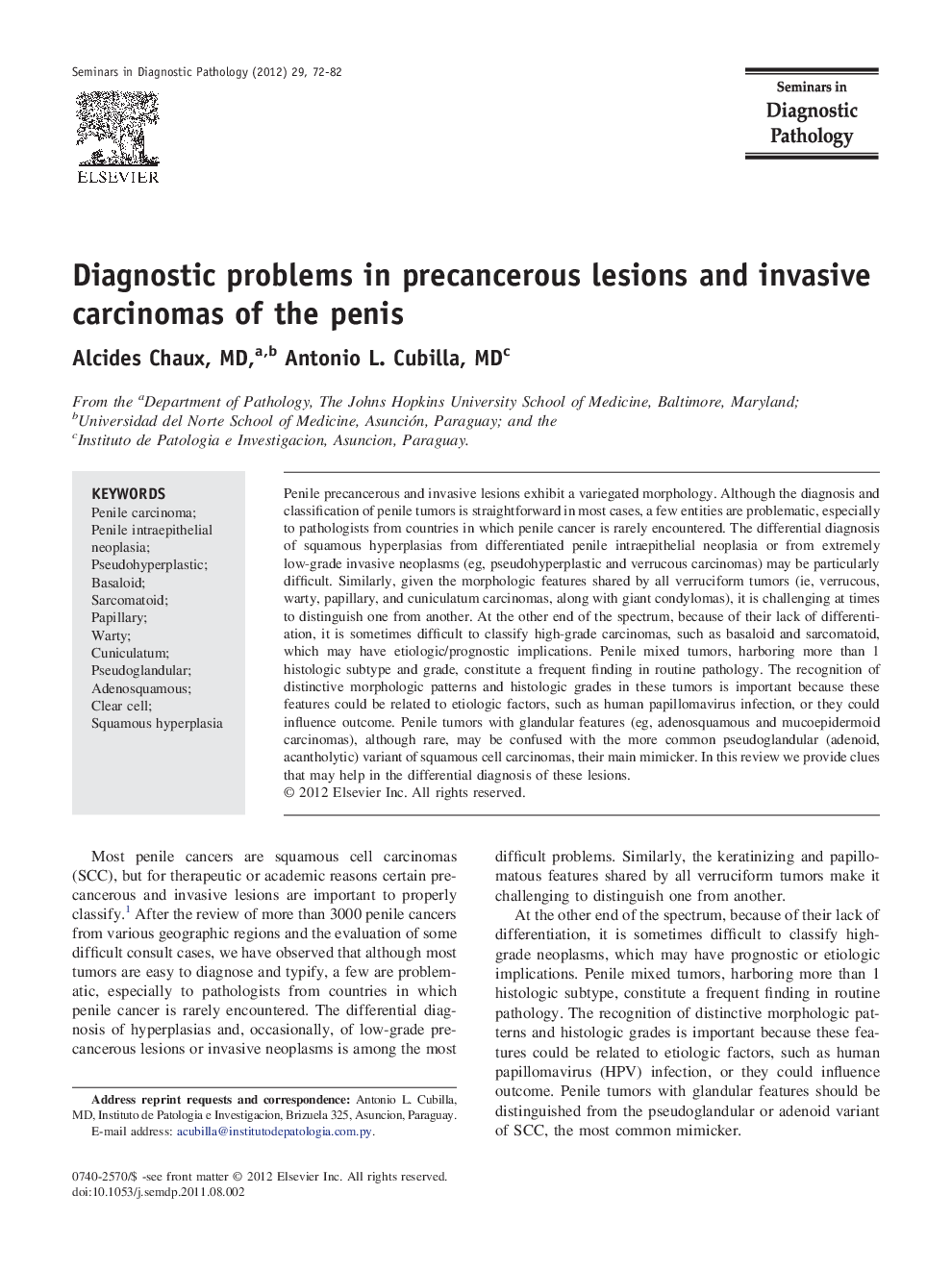 Diagnostic problems in precancerous lesions and invasive carcinomas of the penis