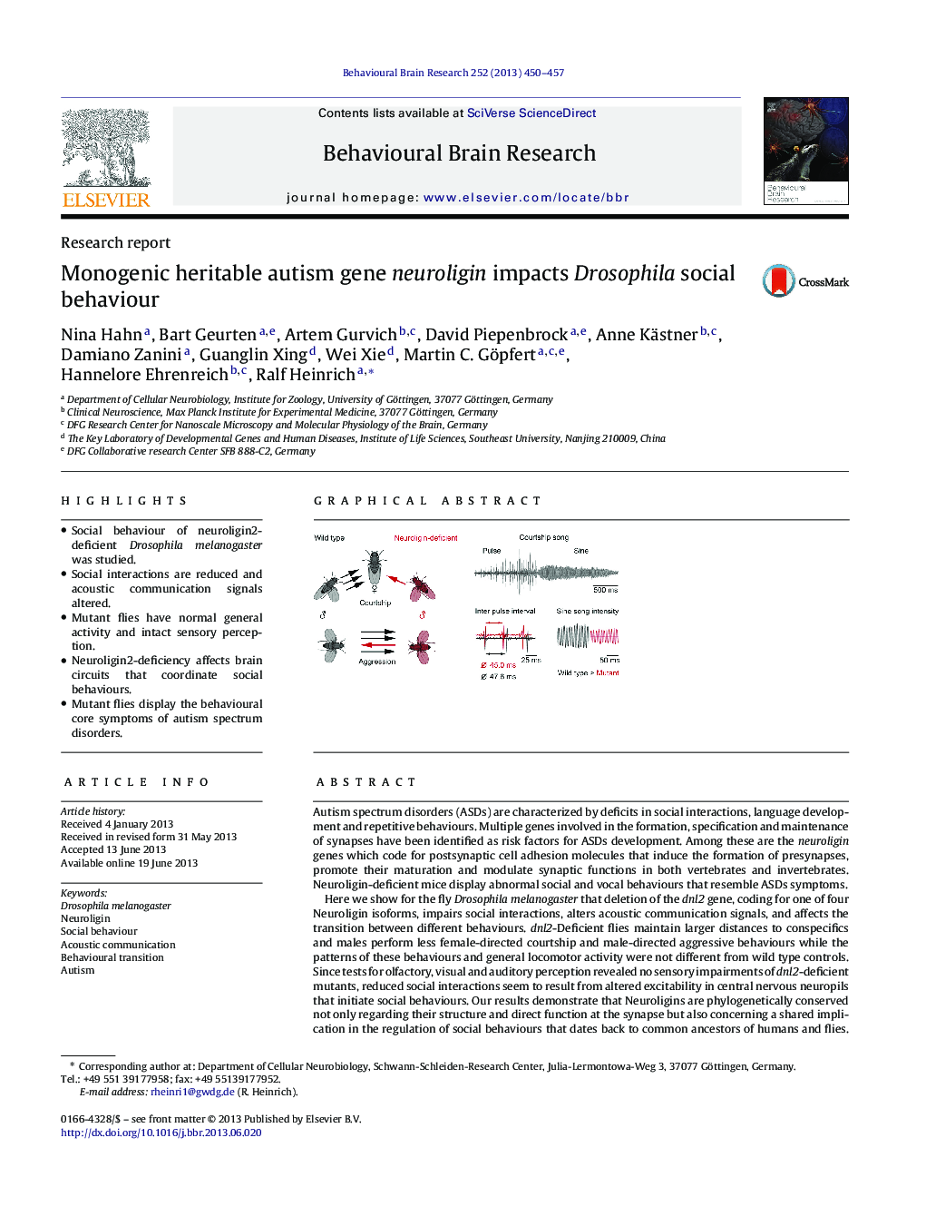 Monogenic heritable autism gene neuroligin impacts Drosophila social behaviour