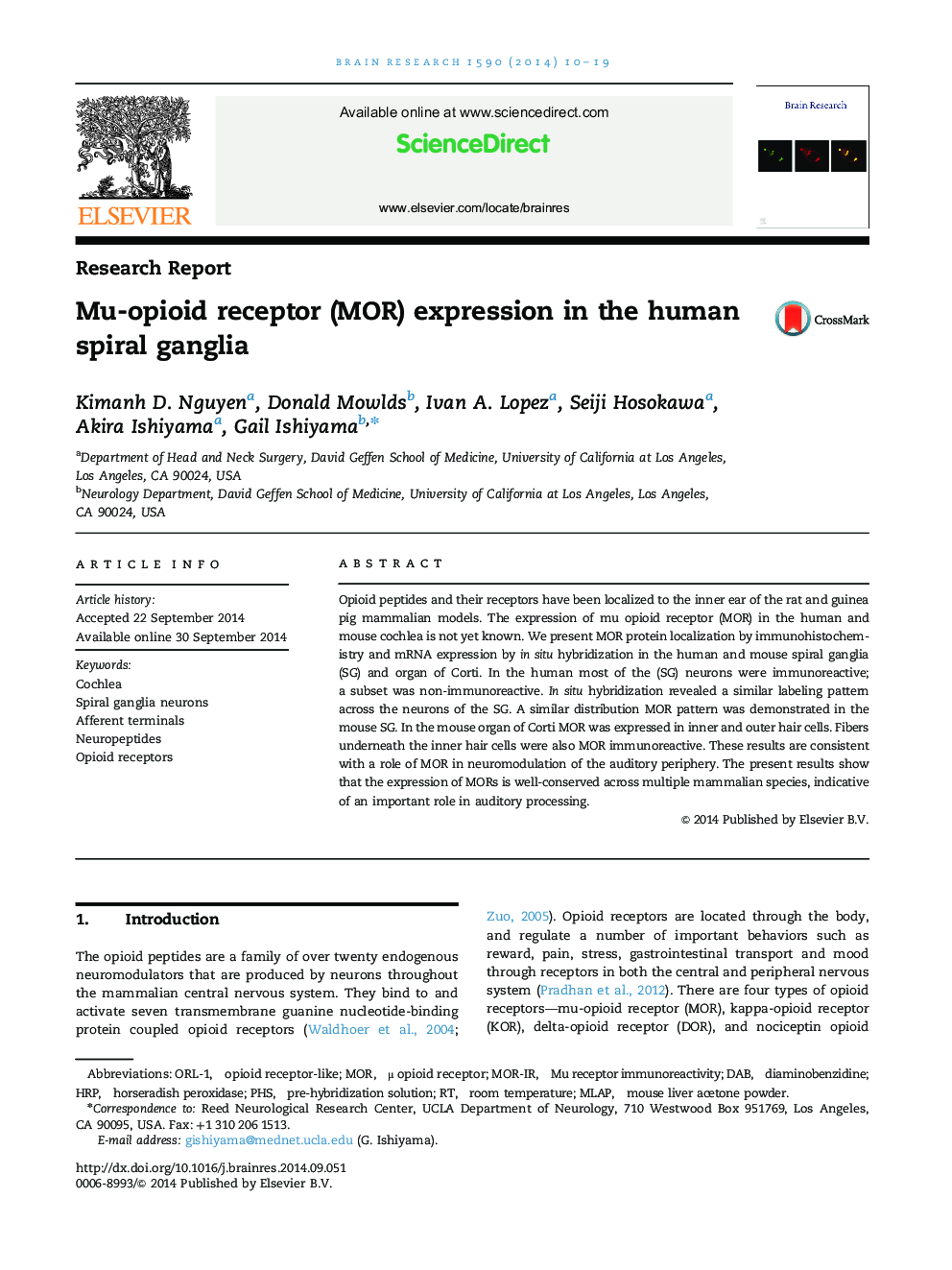 Mu-opioid receptor (MOR) expression in the human spiral ganglia