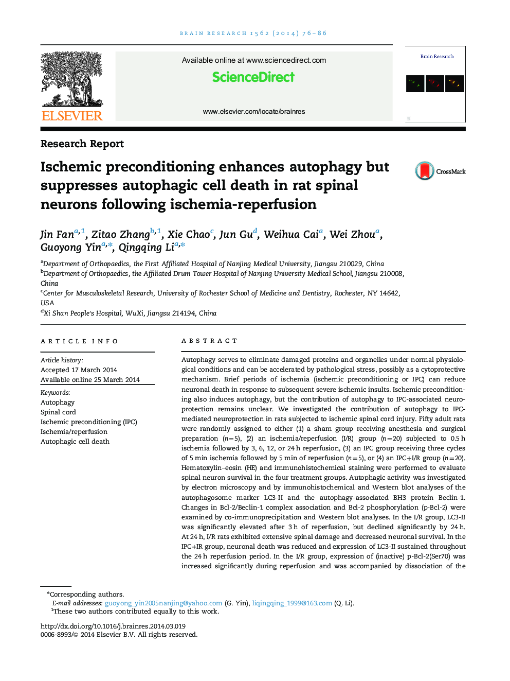 Ischemic preconditioning enhances autophagy but suppresses autophagic cell death in rat spinal neurons following ischemia-reperfusion