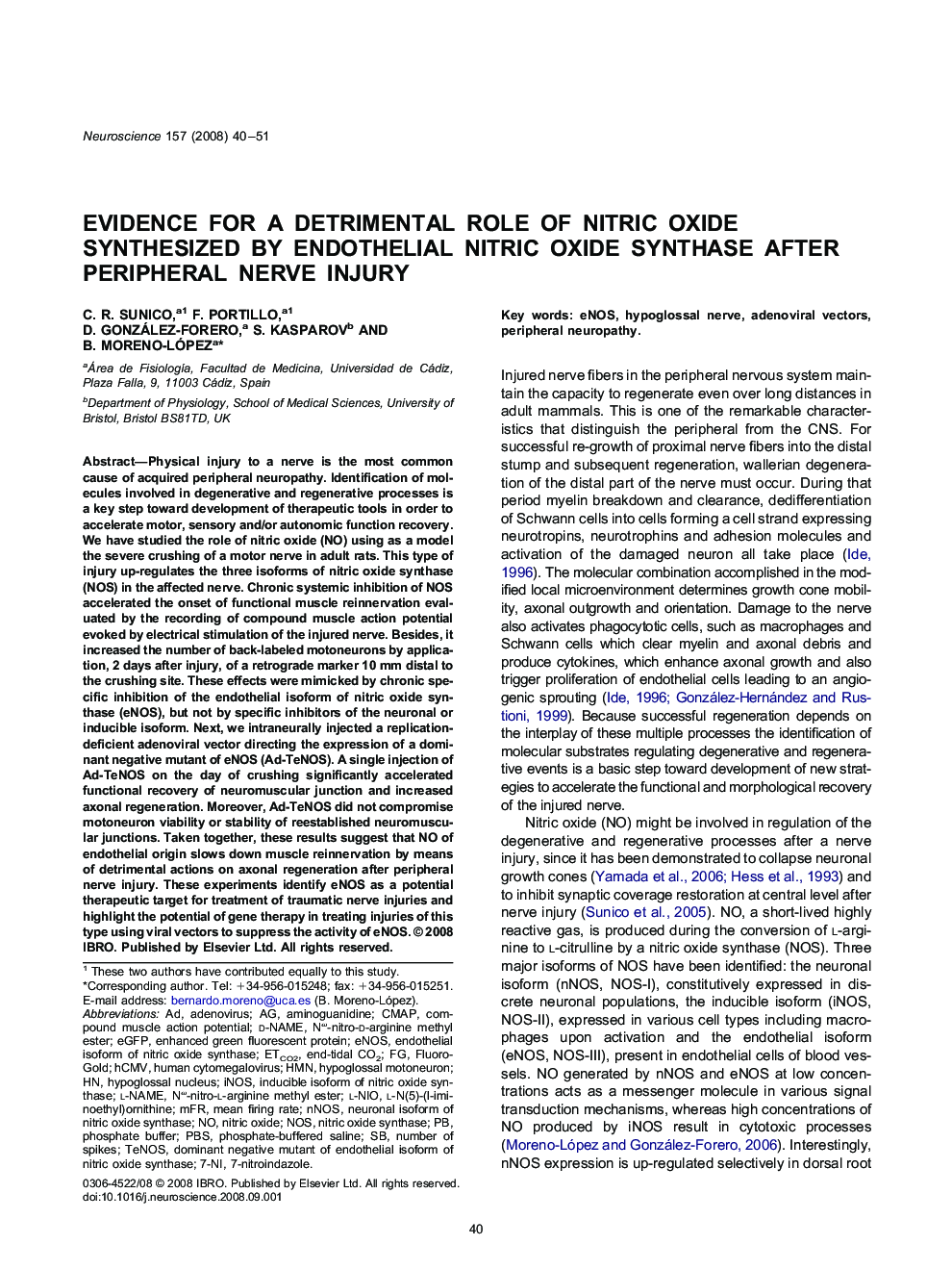 Evidence for a detrimental role of nitric oxide synthesized by endothelial nitric oxide synthase after peripheral nerve injury