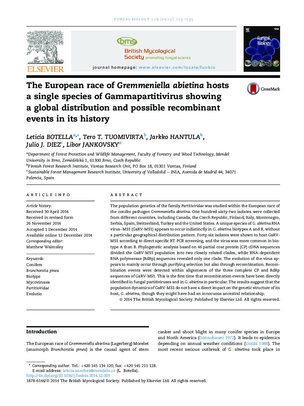 The European race of Gremmeniella abietina hosts a single species of Gammapartitivirus showing a global distribution and possible recombinant events in its history