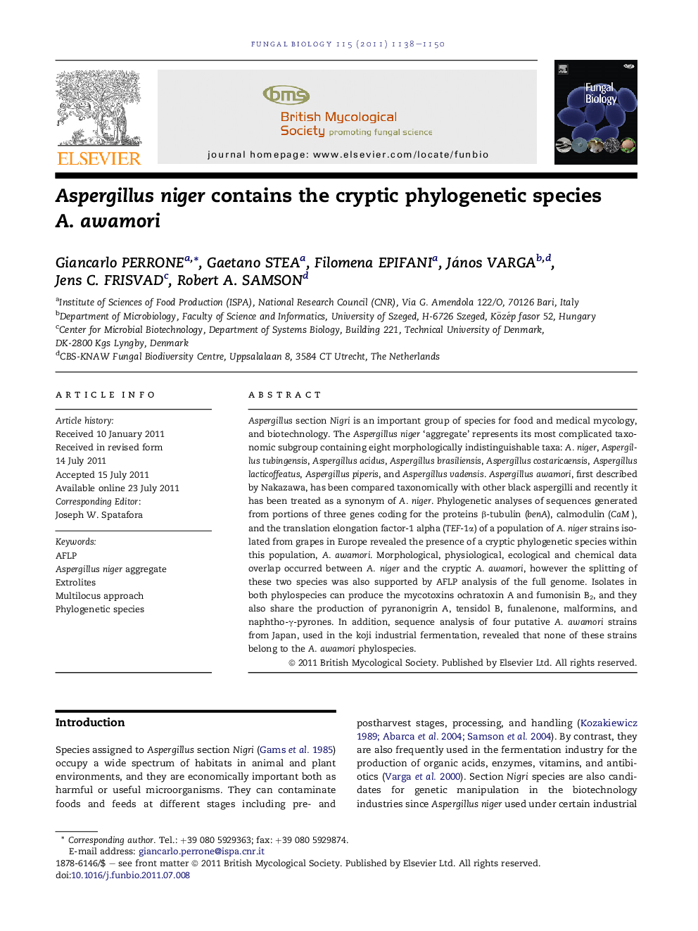 Aspergillus niger contains the cryptic phylogenetic species A. awamori