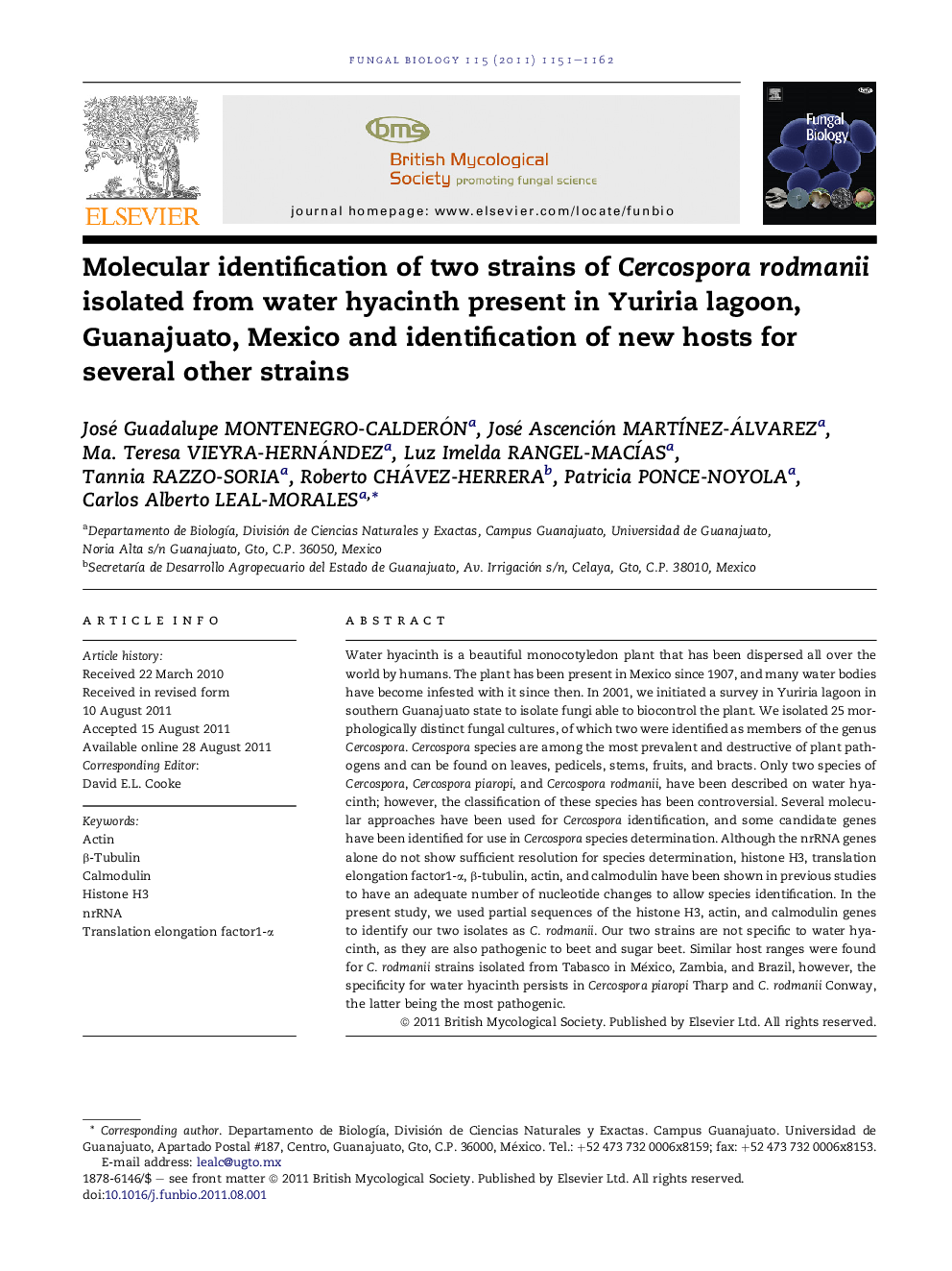 Molecular identification of two strains of Cercospora rodmanii isolated from water hyacinth present in Yuriria lagoon, Guanajuato, Mexico and identification of new hosts for several other strains