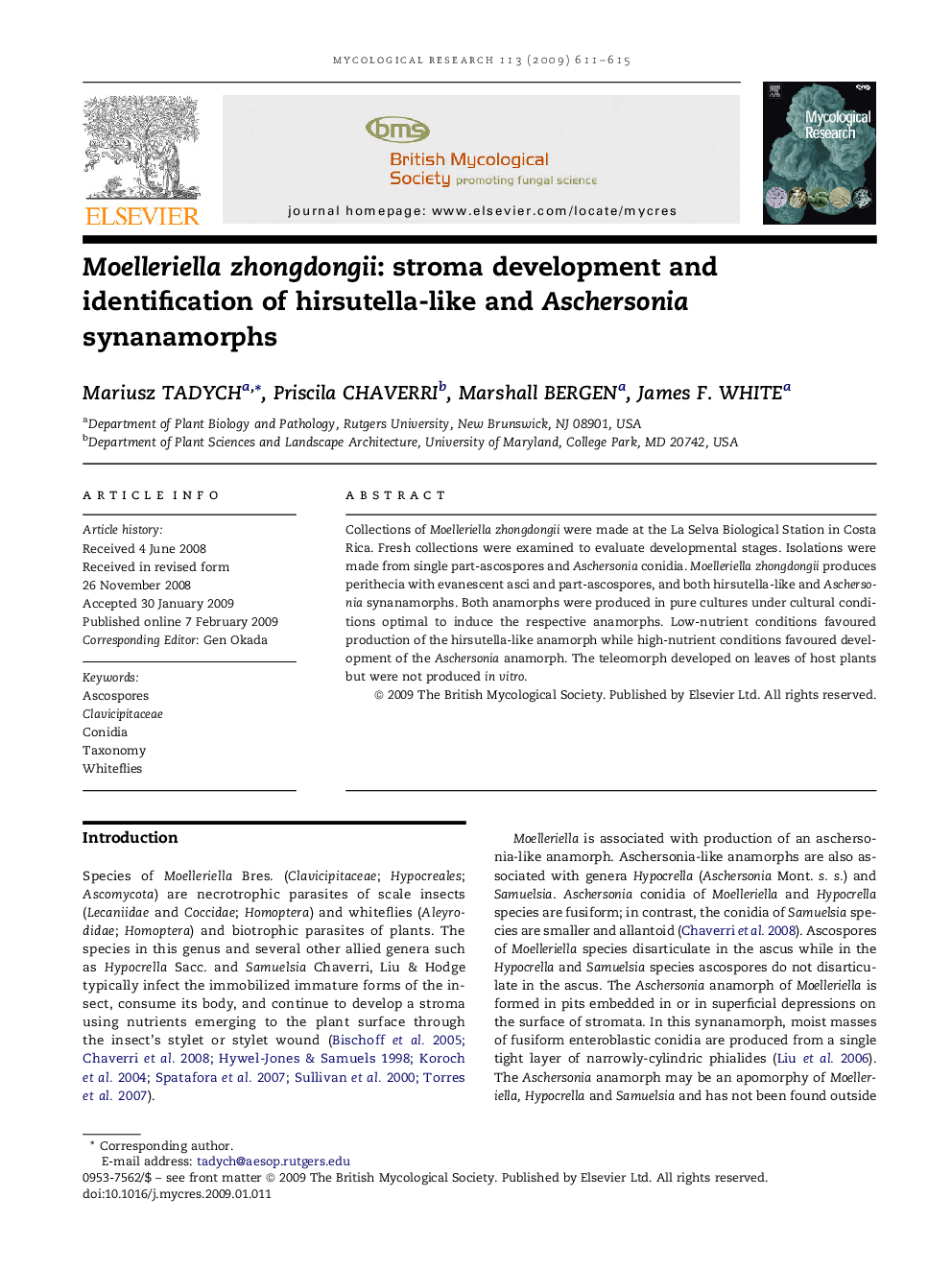 Moelleriella zhongdongii: stroma development and identification of hirsutella-like and Aschersonia synanamorphs