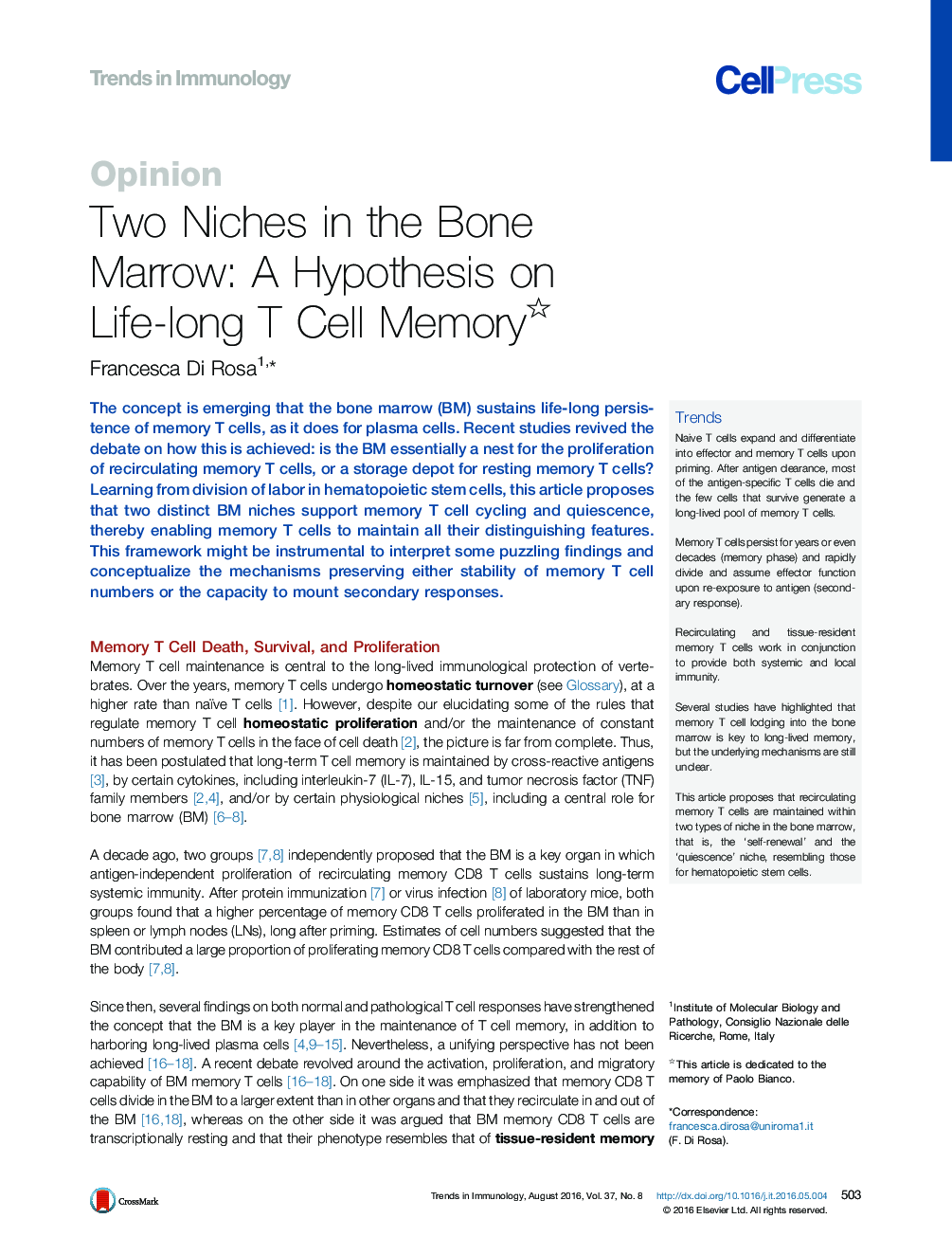 Two Niches in the Bone Marrow: A Hypothesis on Life-long T Cell Memory 