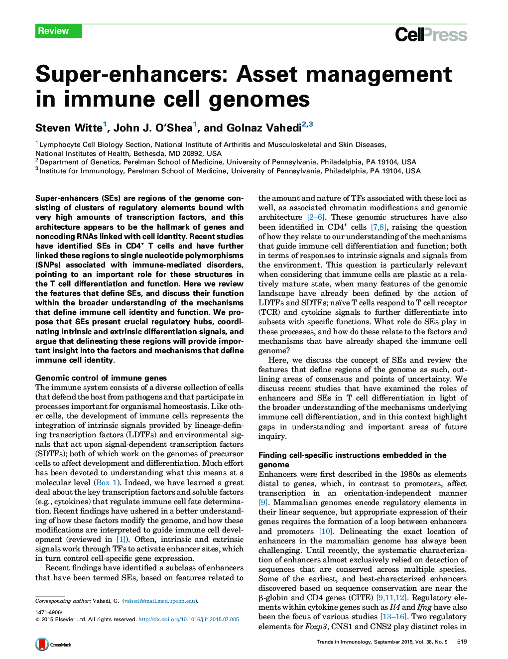 Super-enhancers: Asset management in immune cell genomes