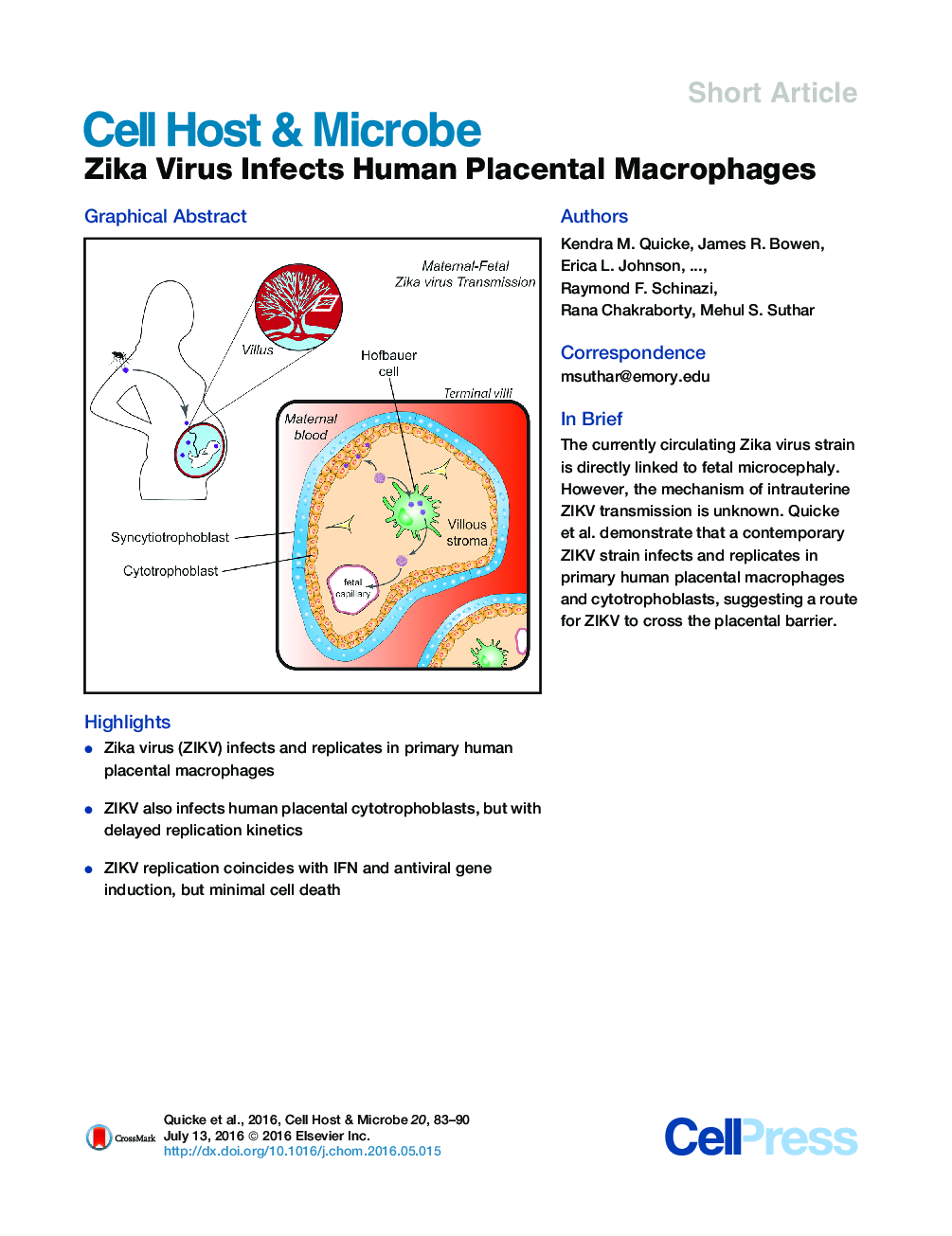 ویروس زیکا مکانیسم های انسانی را آلوده می کند 