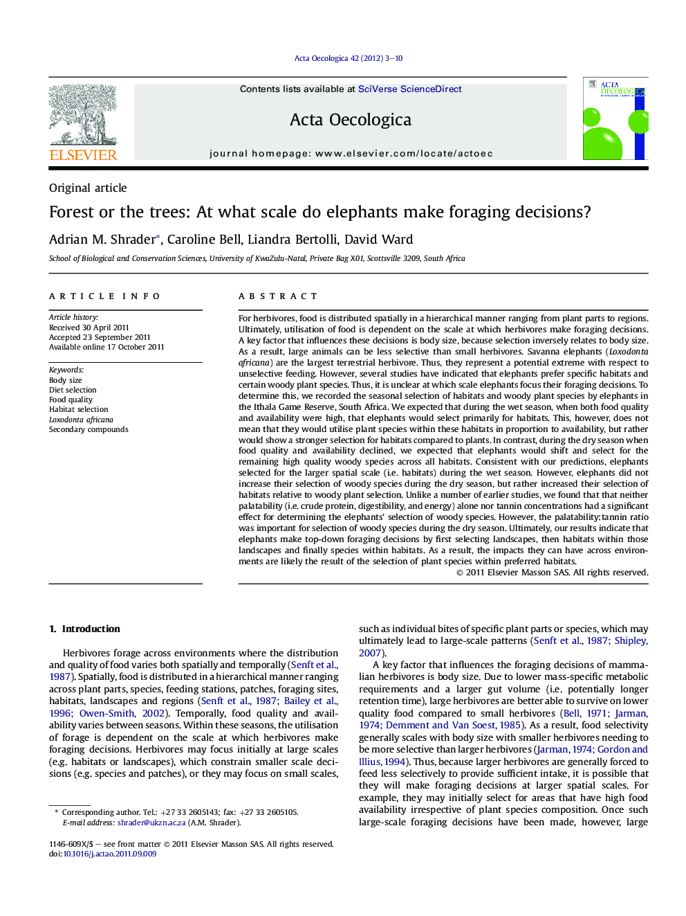 Forest or the trees: At what scale do elephants make foraging decisions?