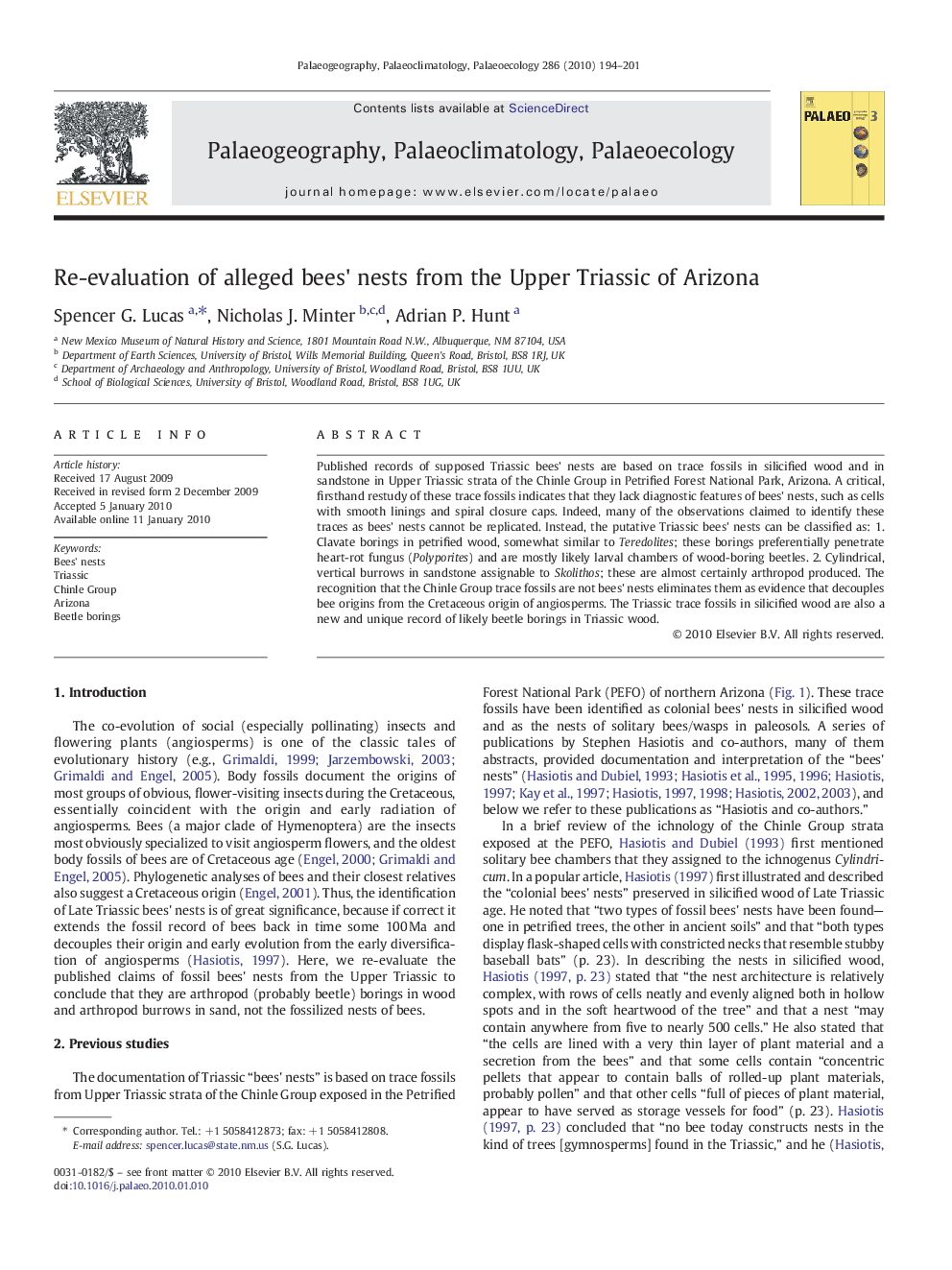 Re-evaluation of alleged bees' nests from the Upper Triassic of Arizona