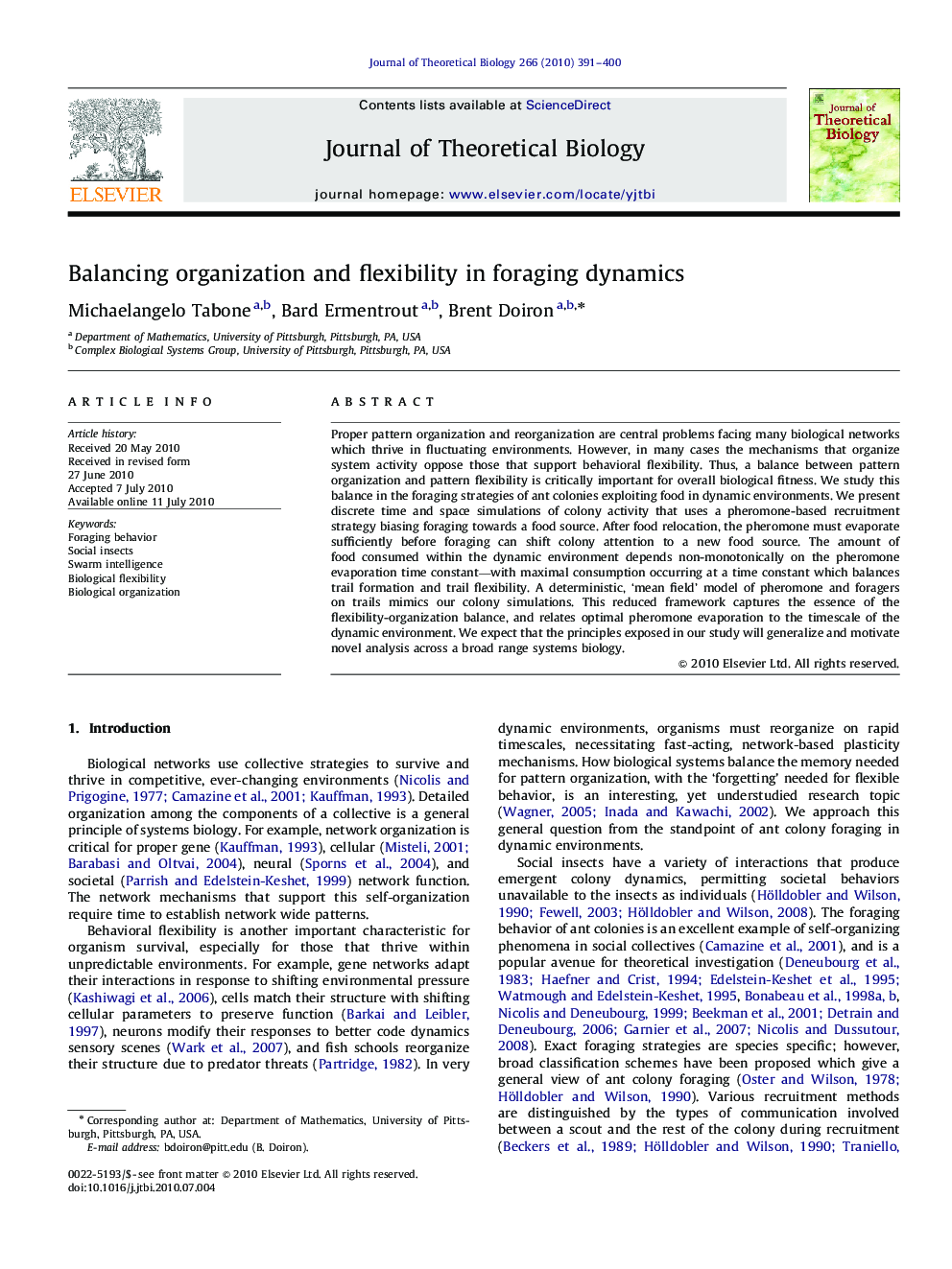 Balancing organization and flexibility in foraging dynamics