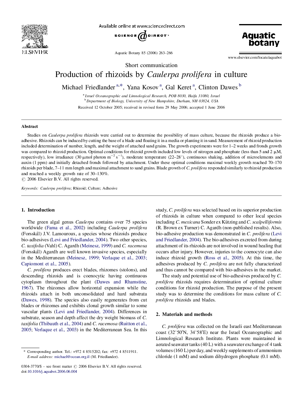 Production of rhizoids by Caulerpa prolifera in culture