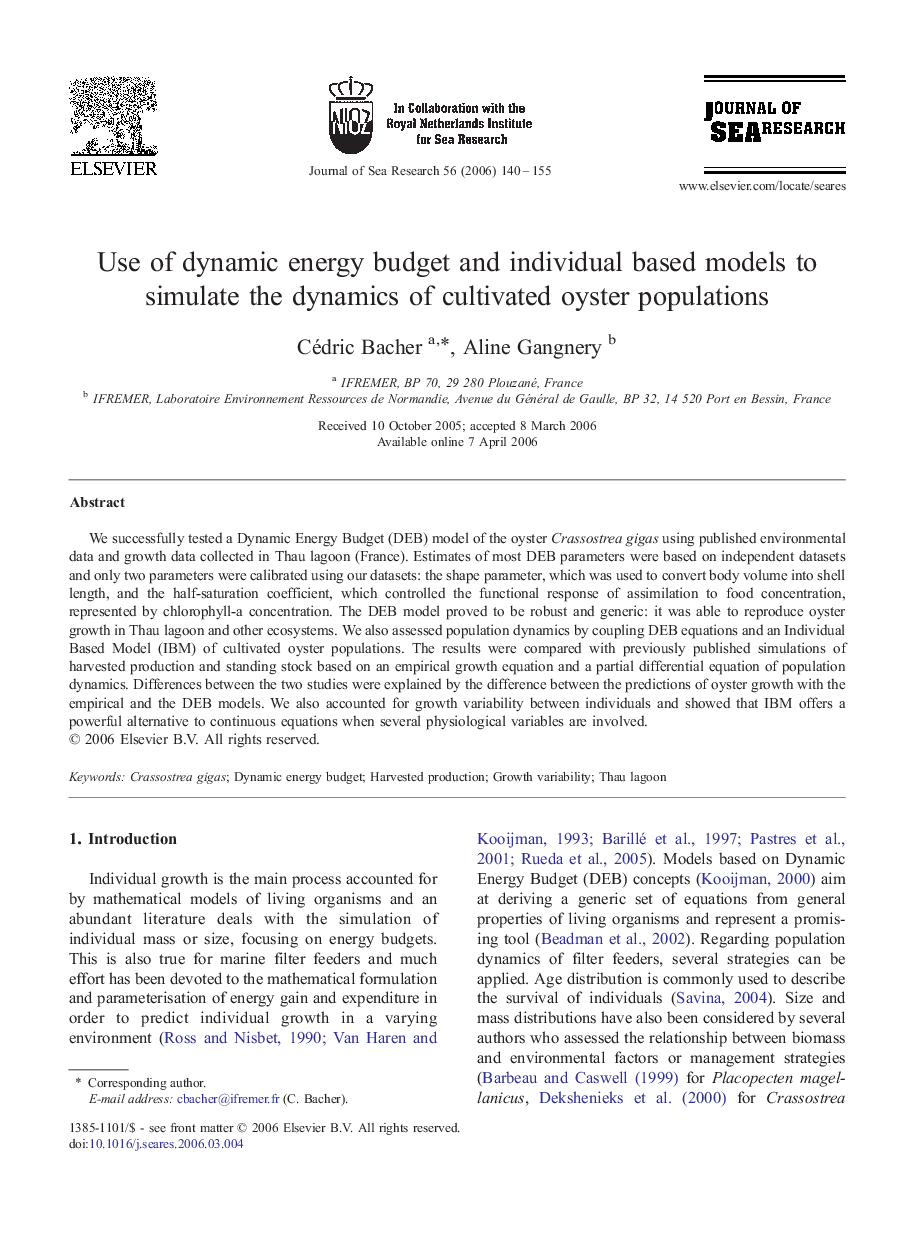 Use of dynamic energy budget and individual based models to simulate the dynamics of cultivated oyster populations