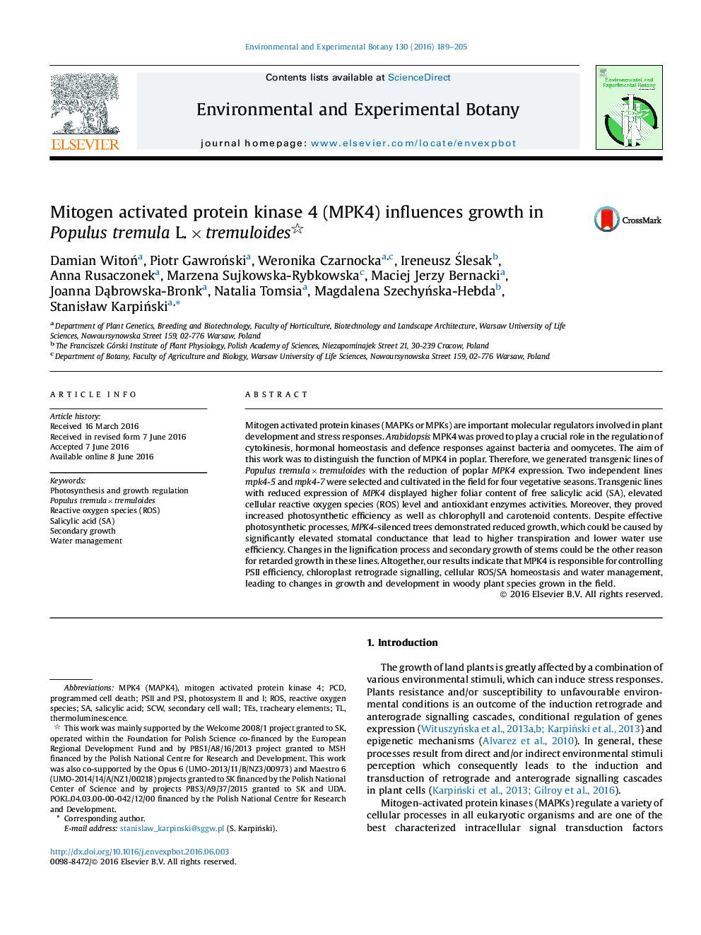 Mitogen activated protein kinase 4 (MPK4) influences growth in Populus tremula L. × tremuloides 