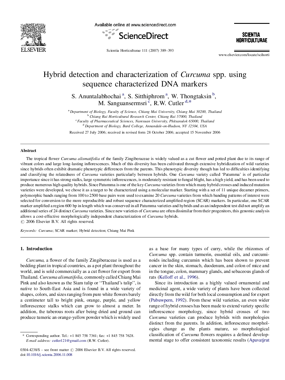 Hybrid detection and characterization of Curcuma spp. using sequence characterized DNA markers