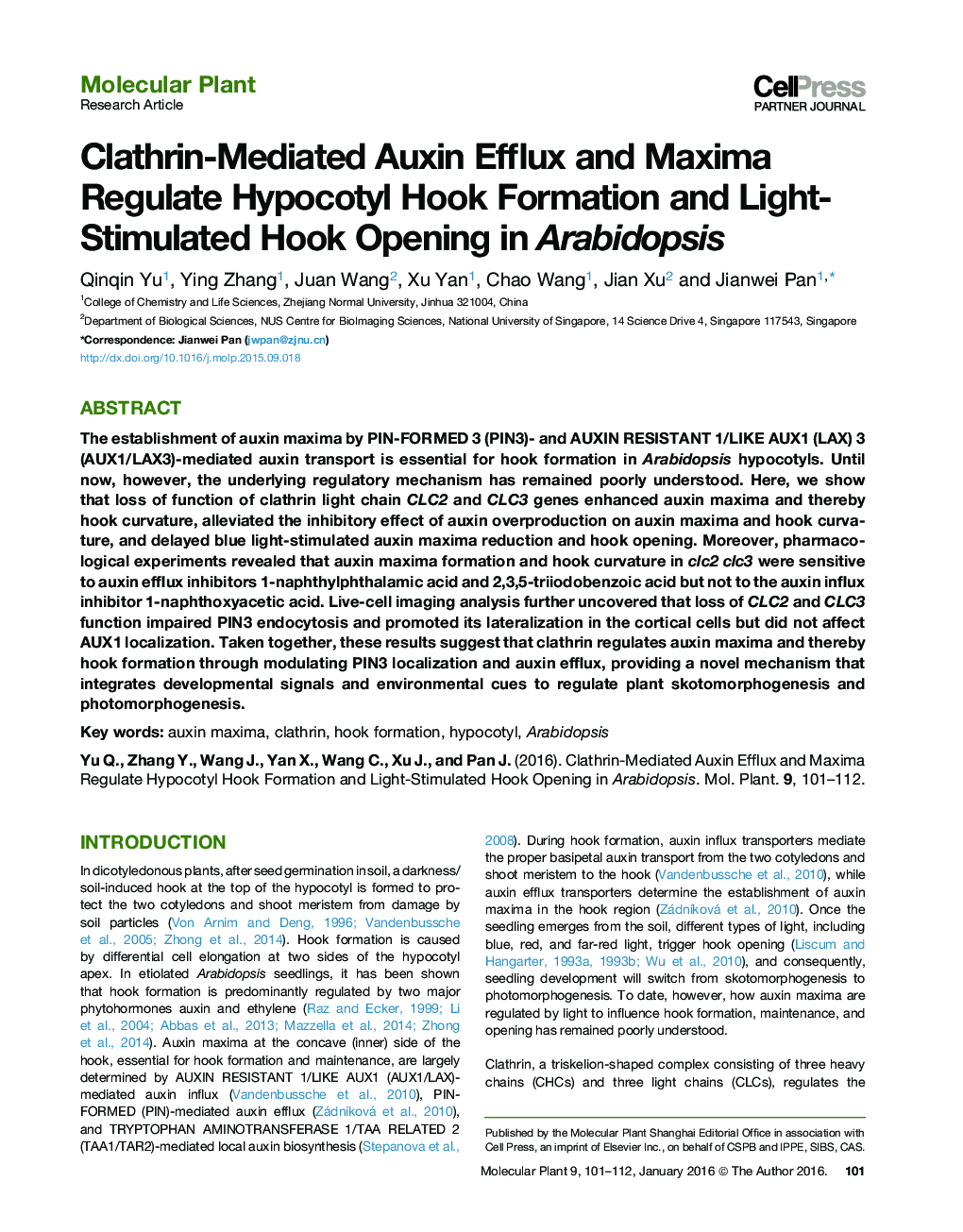 Clathrin-Mediated Auxin Efflux and Maxima Regulate Hypocotyl Hook Formation and Light-Stimulated Hook Opening in Arabidopsis 