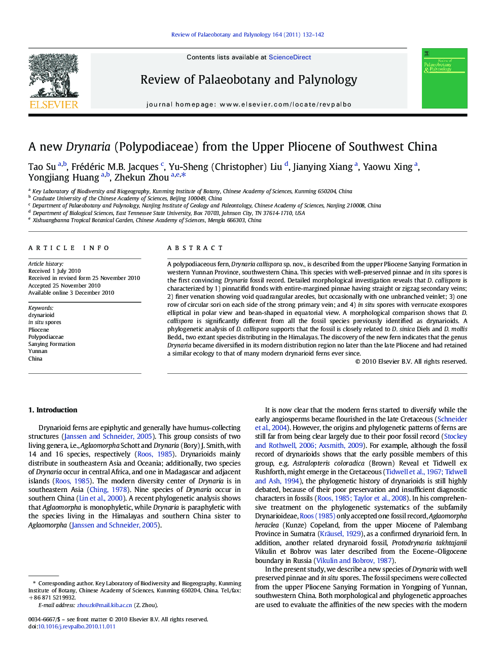 A new Drynaria (Polypodiaceae) from the Upper Pliocene of Southwest China