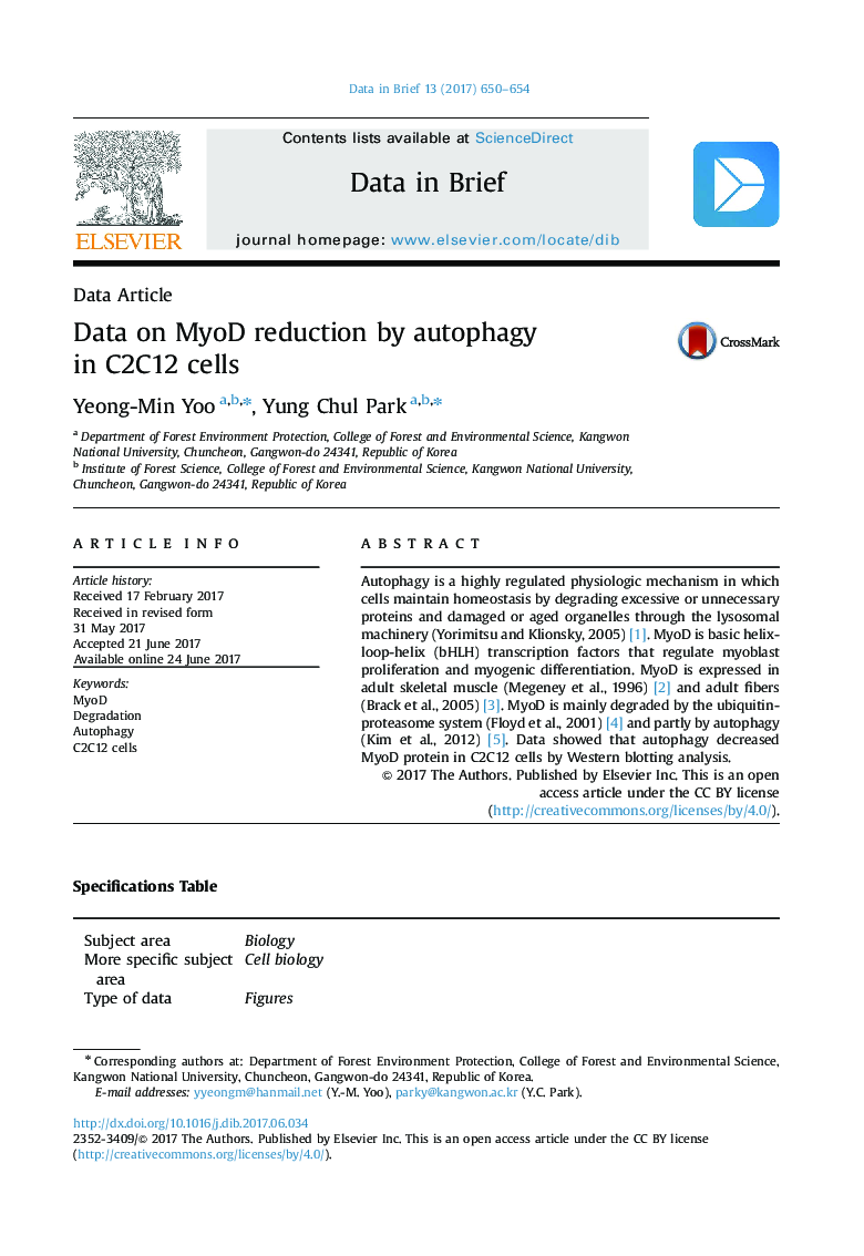 Data on MyoD reduction by autophagy in C2C12 cells