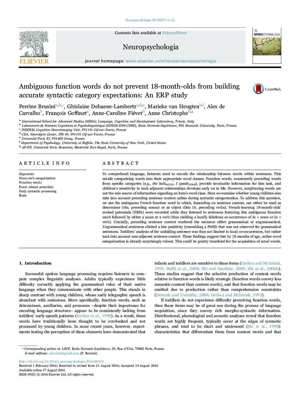 Ambiguous function words do not prevent 18-month-olds from building accurate syntactic category expectations: An ERP study