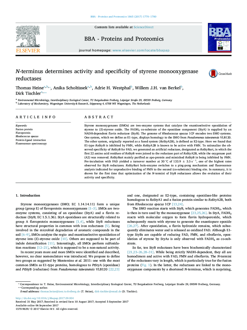 N-terminus determines activity and specificity of styrene monooxygenase reductases