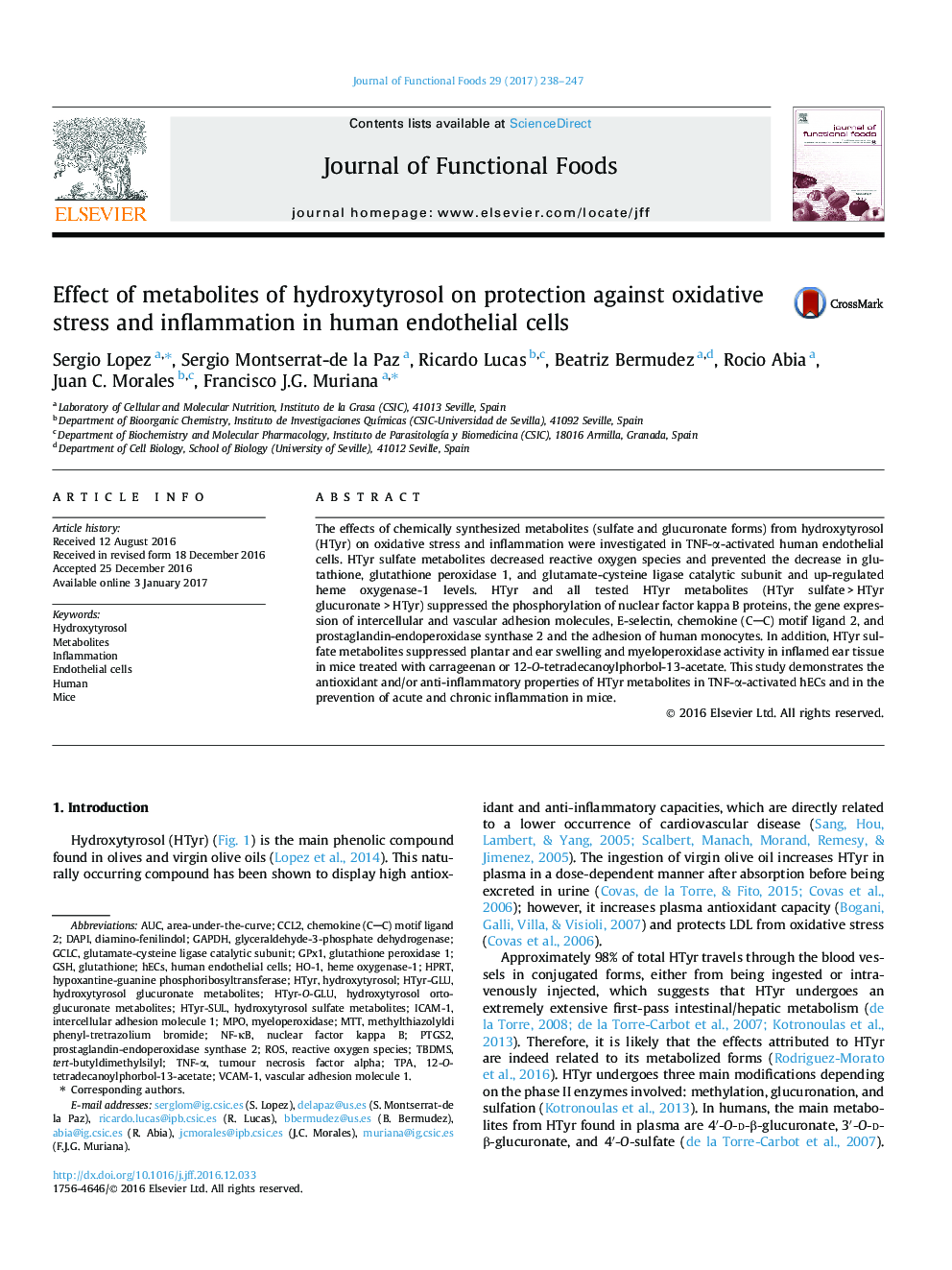 Effect of metabolites of hydroxytyrosol on protection against oxidative stress and inflammation in human endothelial cells