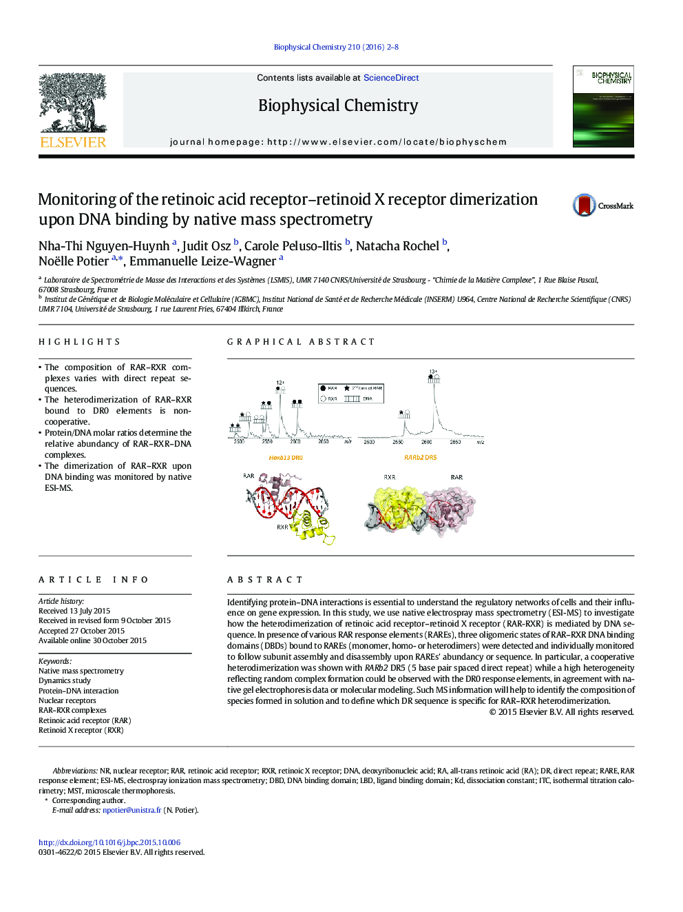 Monitoring of the retinoic acid receptor-retinoid X receptor dimerization upon DNA binding by native mass spectrometry