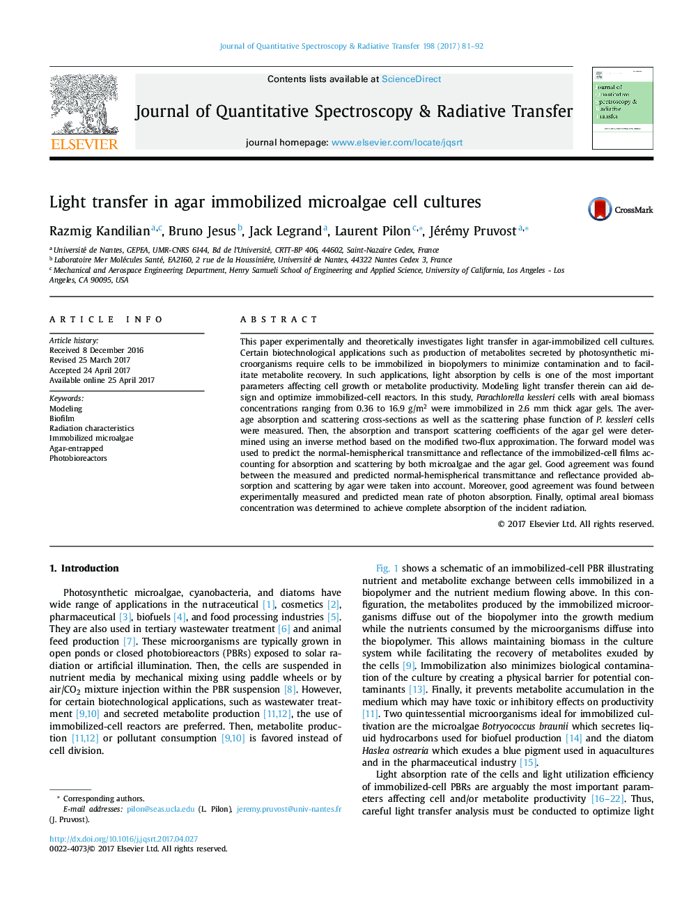 Light transfer in agar immobilized microalgae cell cultures