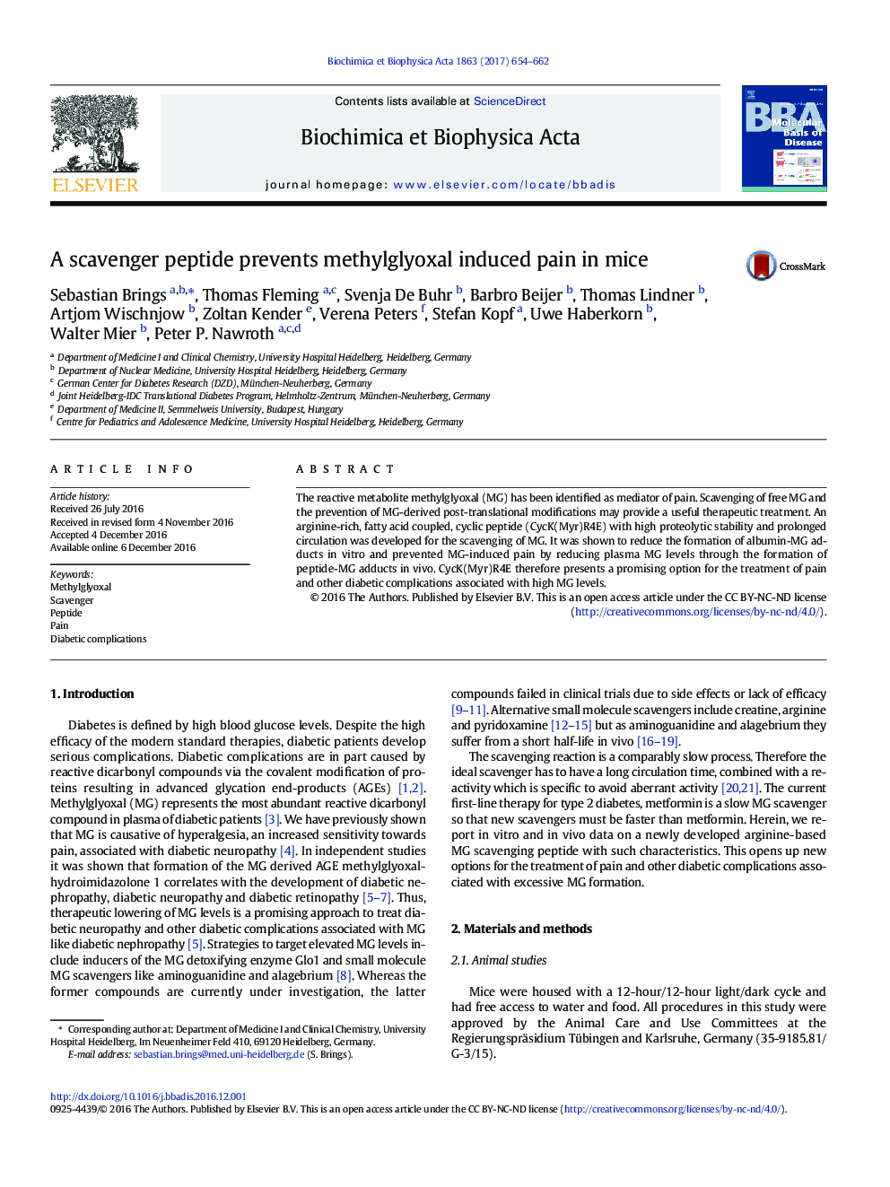 A scavenger peptide prevents methylglyoxal induced pain in mice