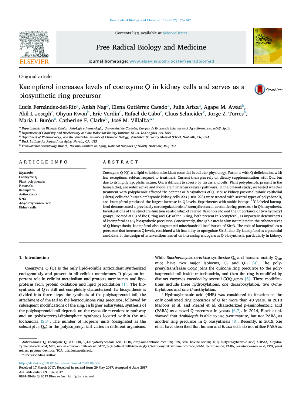 Kaempferol increases levels of coenzyme Q in kidney cells and serves as a biosynthetic ring precursor