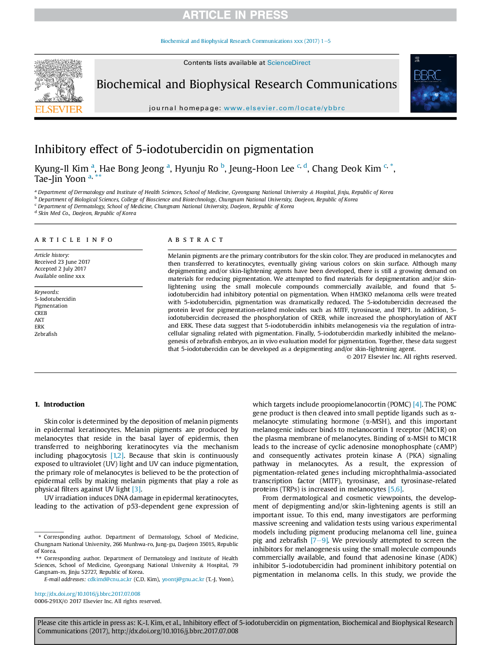 Inhibitory effect of 5-iodotubercidin on pigmentation