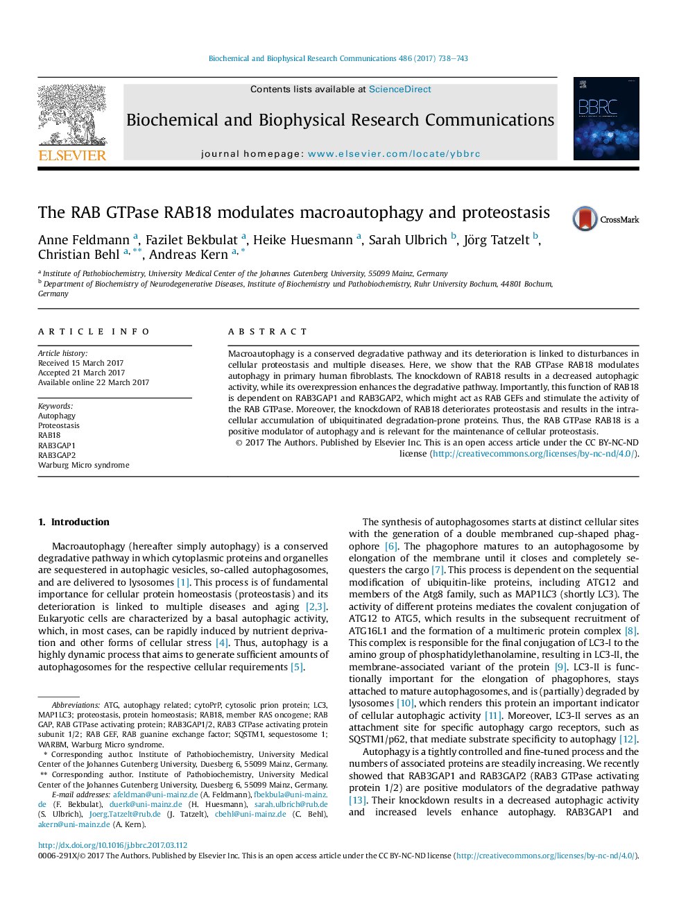 The RAB GTPase RAB18 modulates macroautophagy and proteostasis