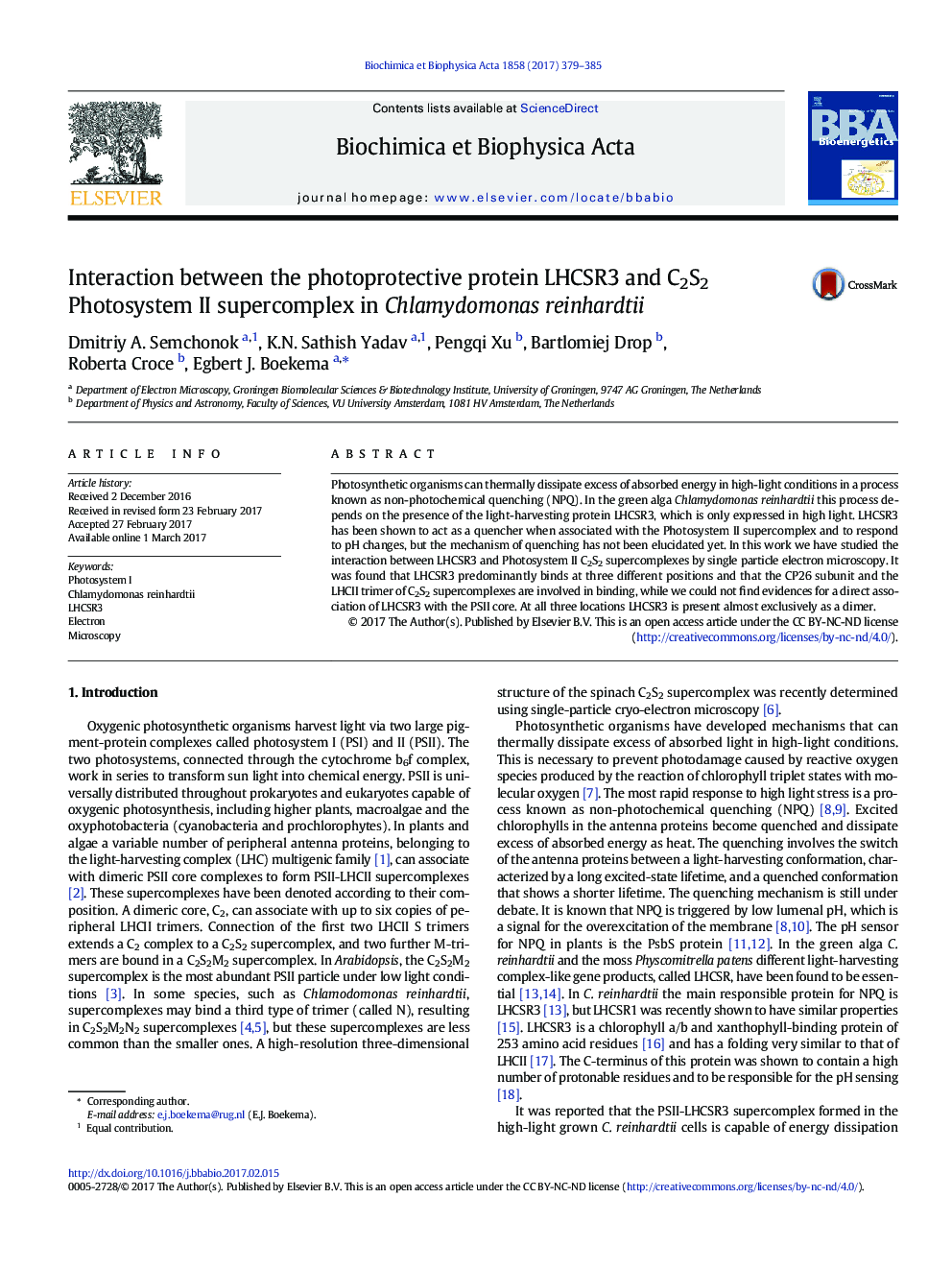 Interaction between the photoprotective protein LHCSR3 and C2S2 Photosystem II supercomplex in Chlamydomonas reinhardtii
