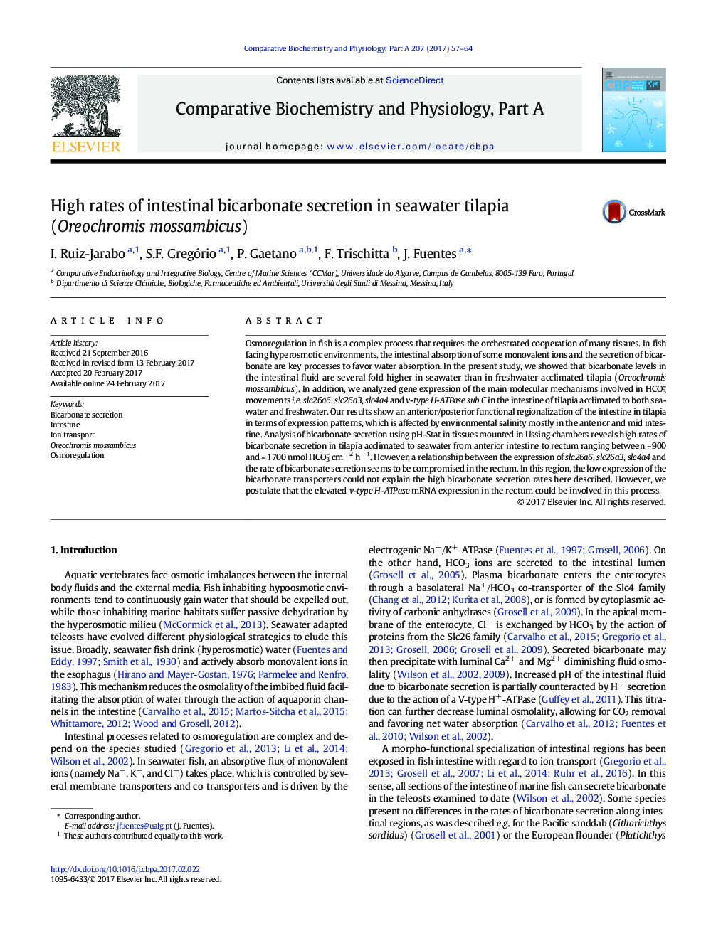 High rates of intestinal bicarbonate secretion in seawater tilapia (Oreochromis mossambicus)
