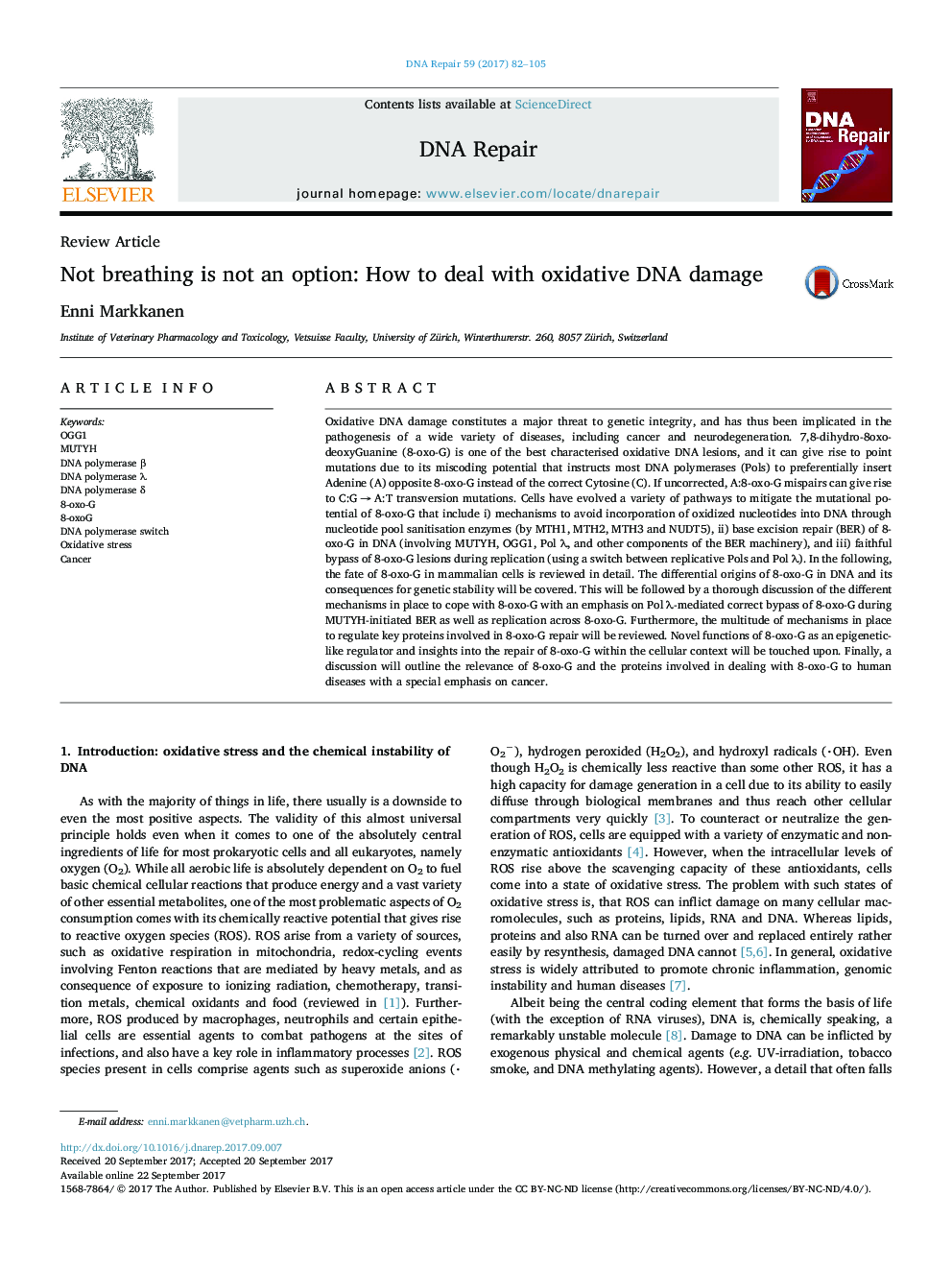 Not breathing is not an option: How to deal with oxidative DNA damage