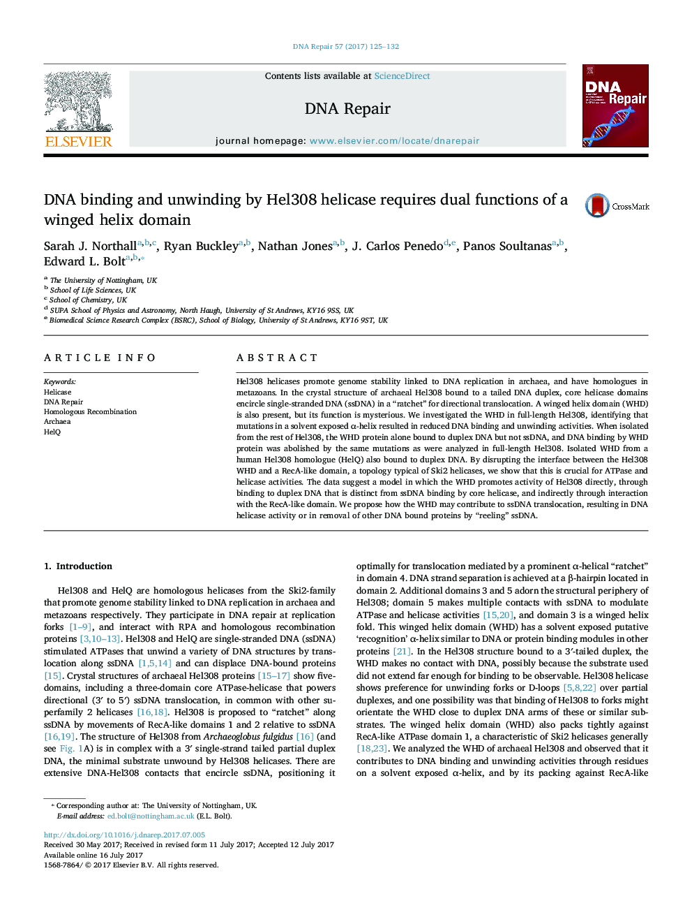 DNA binding and unwinding by Hel308 helicase requires dual functions of a winged helix domain